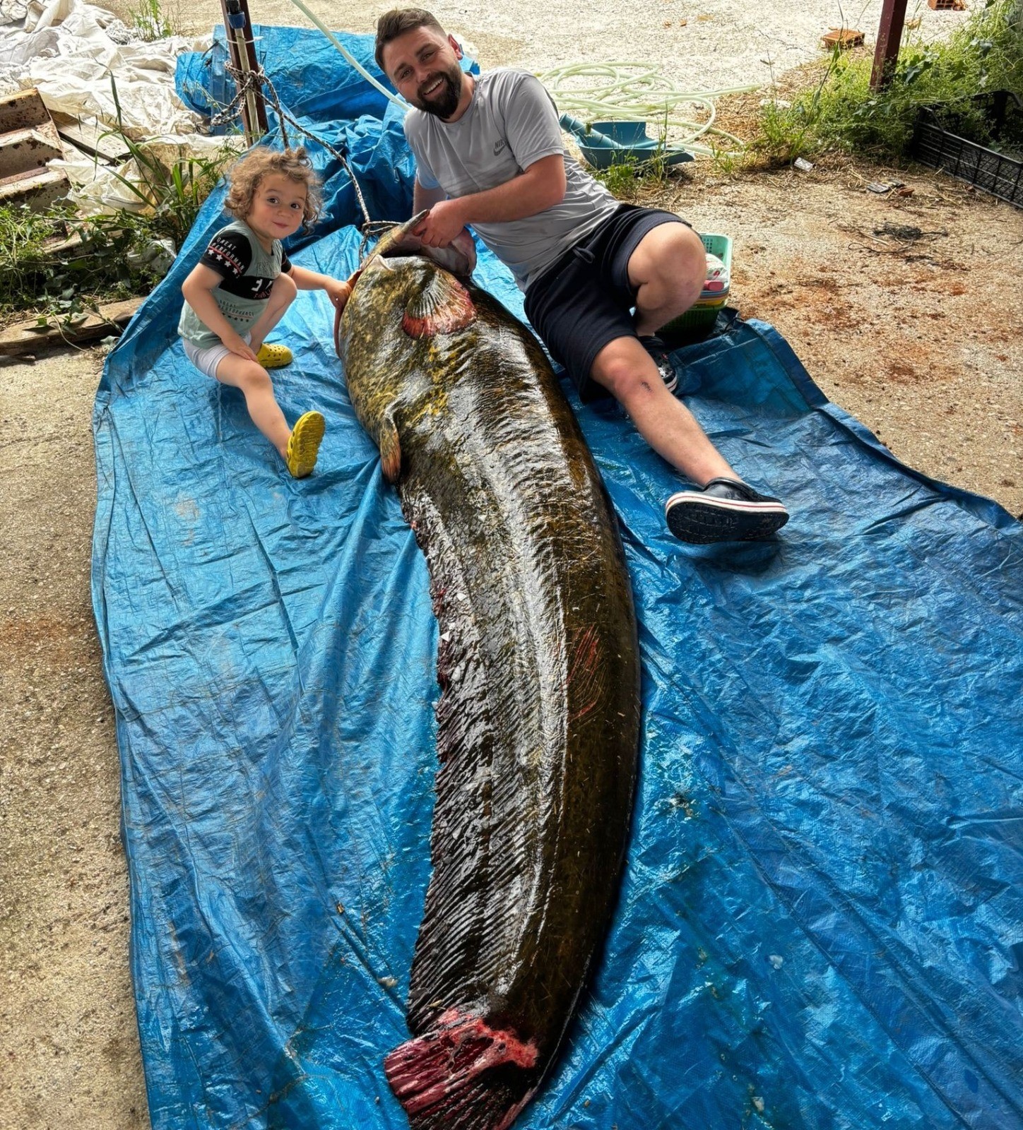 Kütük sandılar, dev yayın çıktı: 2 metre 15 santim, 114 kilo!