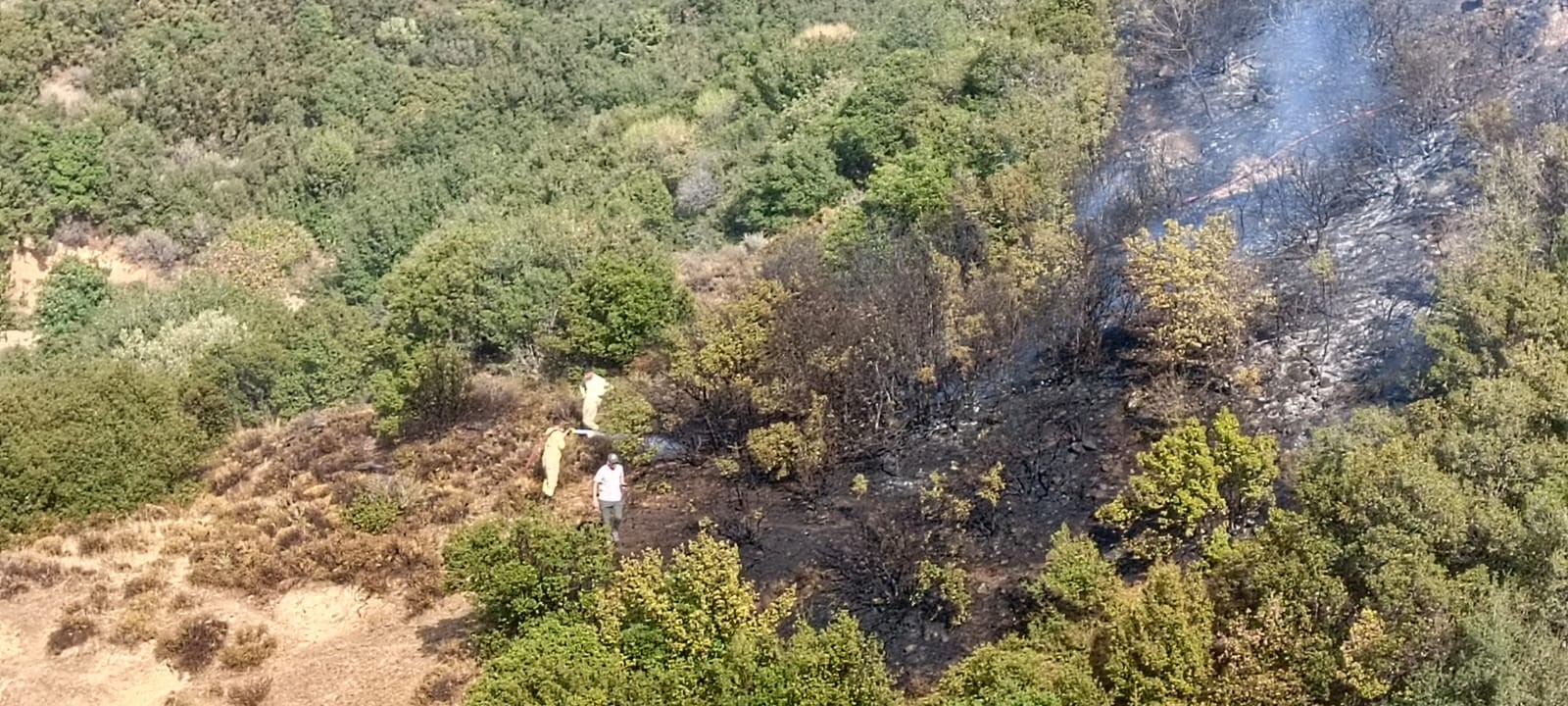 İzmir'de hobi bahçesinden ormana sıçradı: Kontrol altına alındı