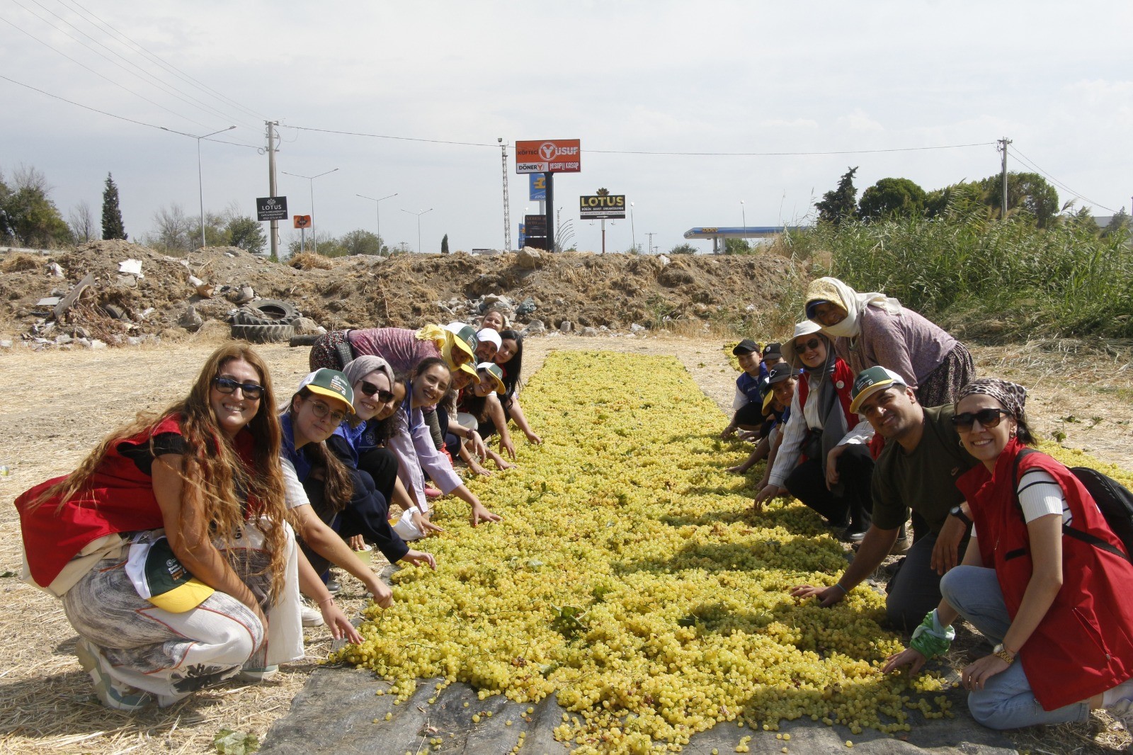 Manisa'da gönüllü gençler üretimi yerinde öğrendi