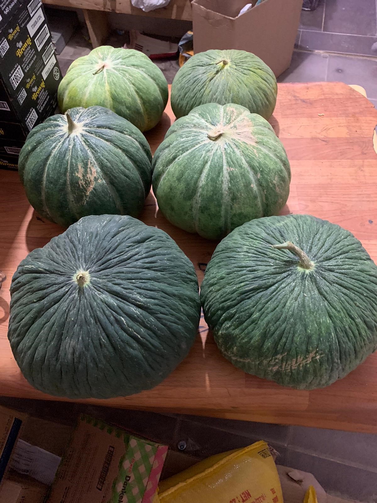 Kayıp Lezzet Geri Döndü: Çavuşlar’da Ata Tohum Kavunu