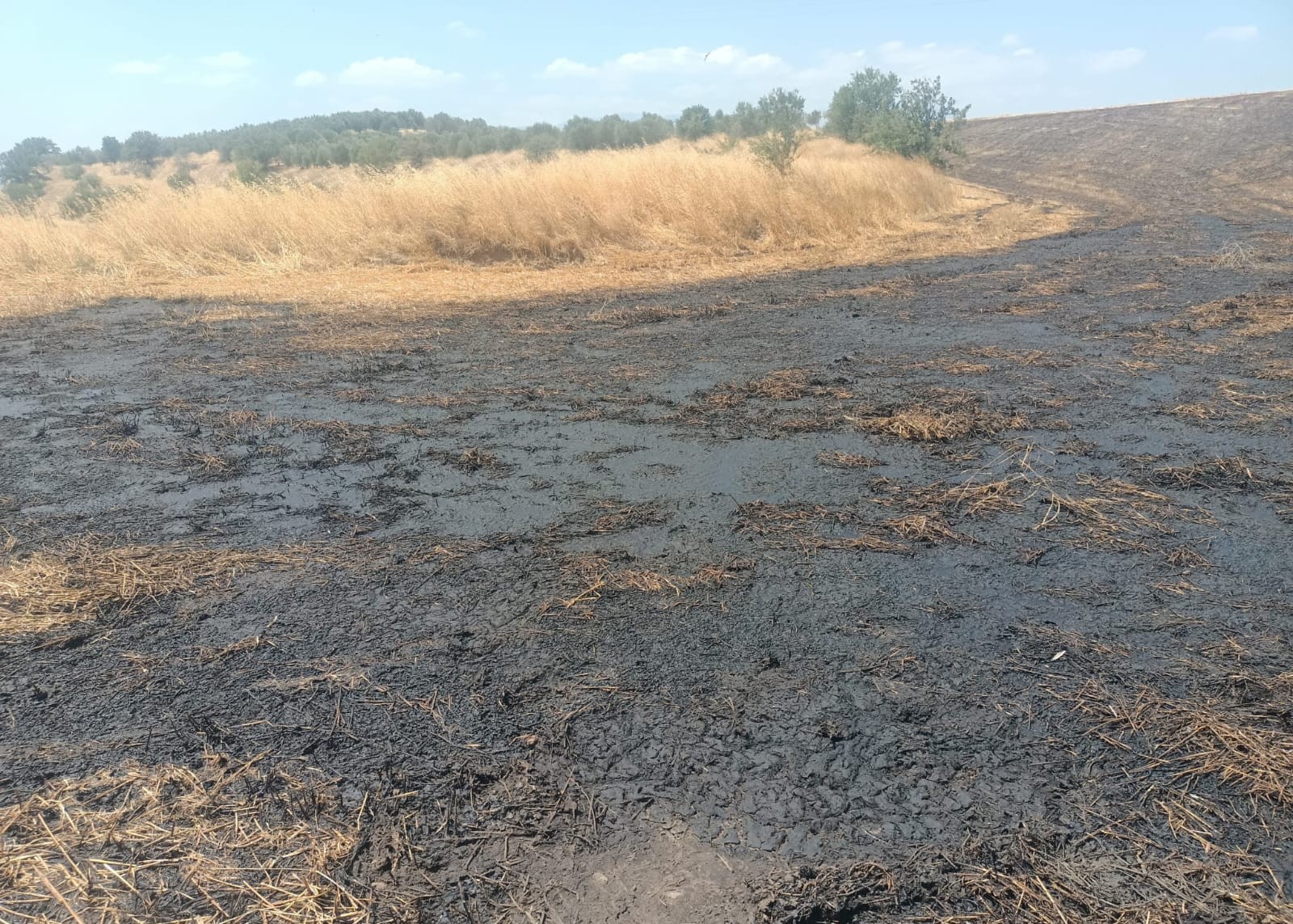 Turgutlu’da Biyogaz Tesisindeki Sızıntıya Cezai İşlem!