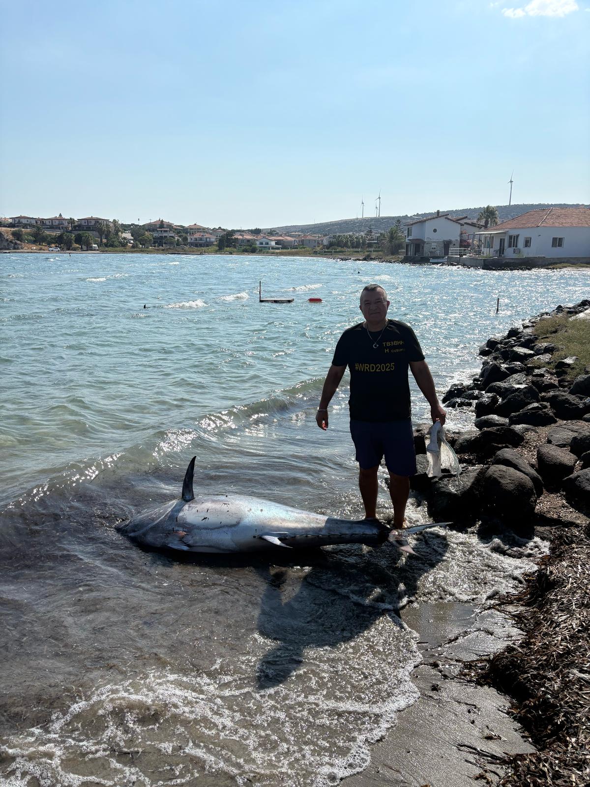Çeşme'de şaşırtan manzara! Dev balık kıyıya vurdu