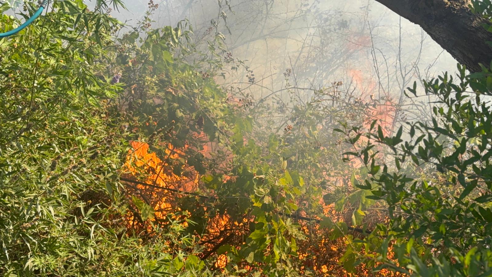 İzmir Ankara Karayolu’nda yangın paniği! Takviye ekipler sevk edildi