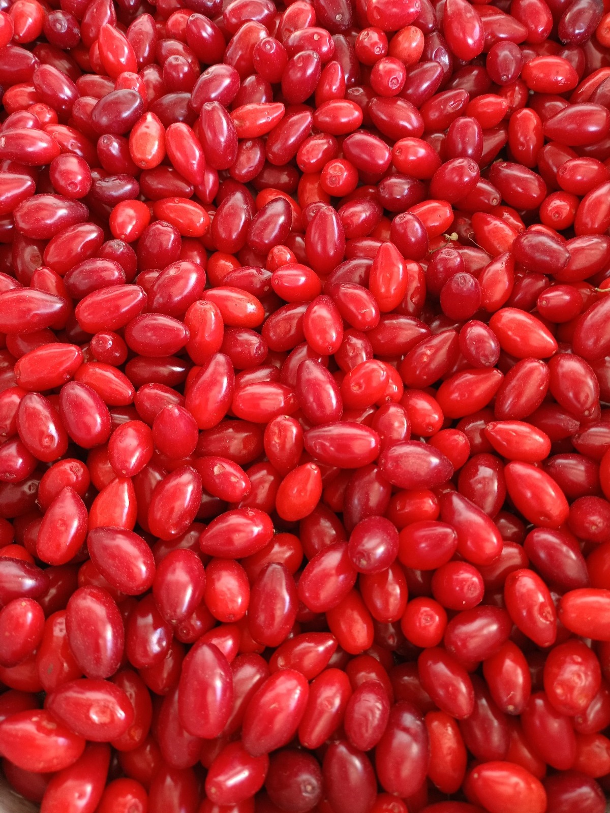 Turgutlu’da kış hazırlıkları başladı