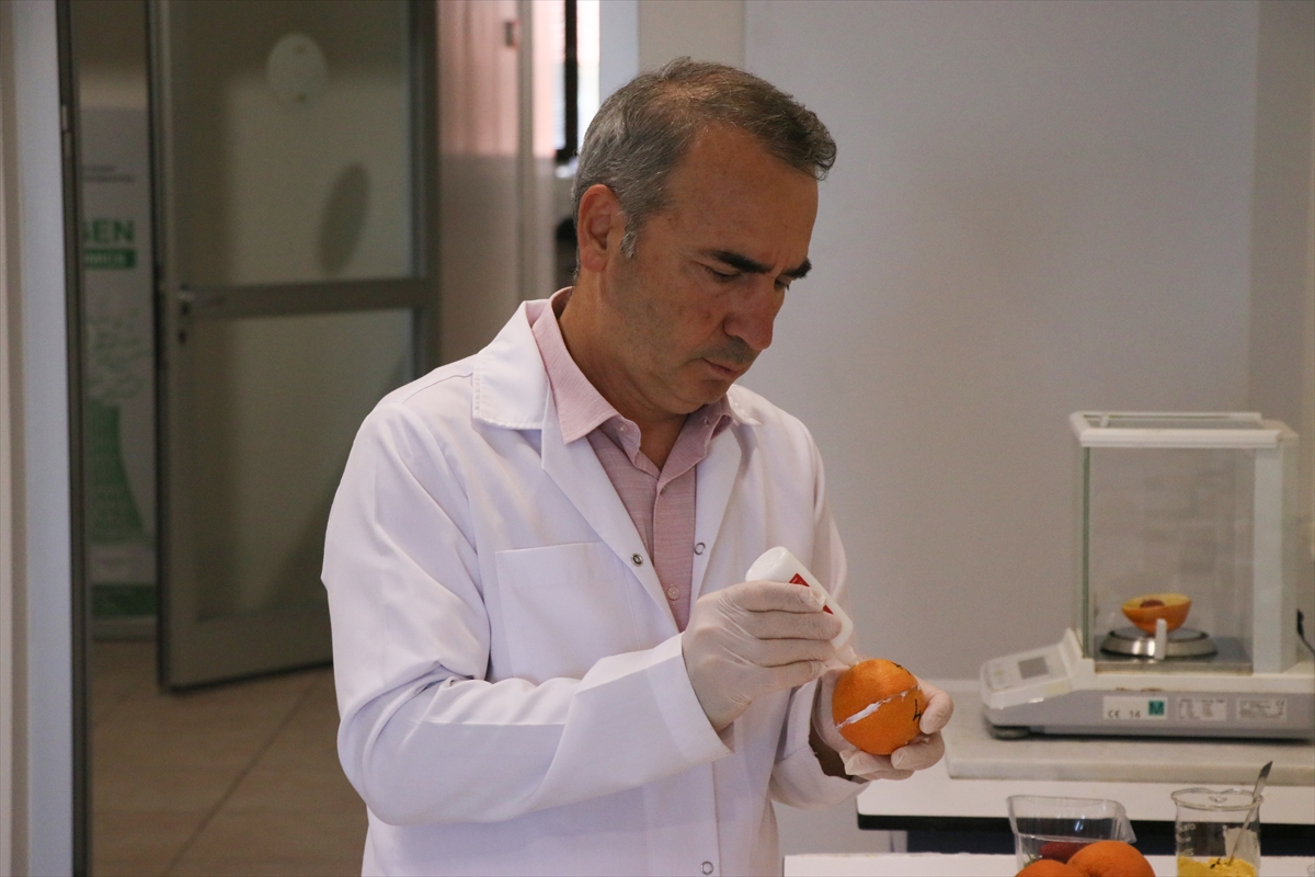 Plastik kullanımını azaltmak için portakal kabuğundan yapılan ambalaj patent aldı