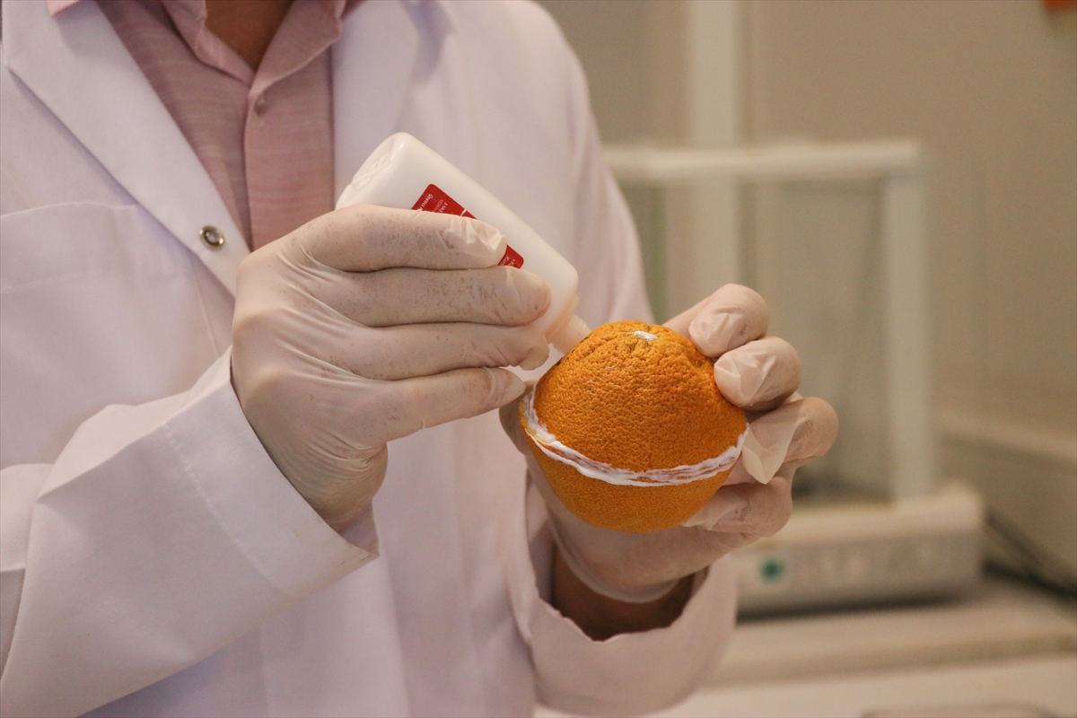 Plastik kullanımını azaltmak için portakal kabuğundan yapılan ambalaj patent aldı