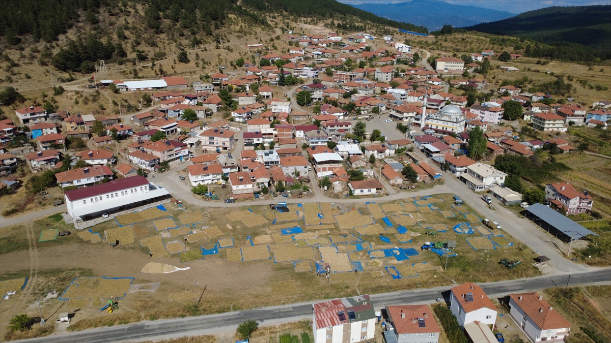 Manisa'nın o ilçesinde üretiliyor: Türkiye'nin dört bir yanında ilgi görüyor!