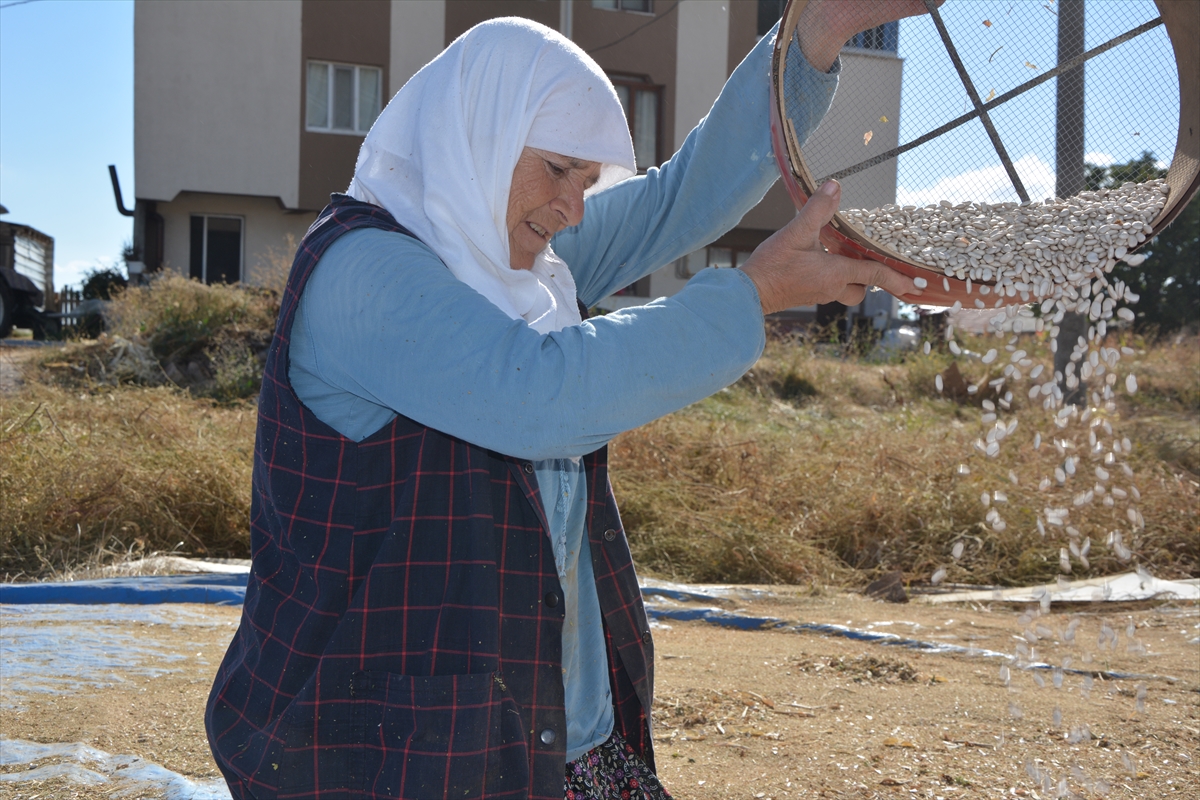 Manisa'nın o ilçesinde üretiliyor: Türkiye'nin dört bir yanında ilgi görüyor!
