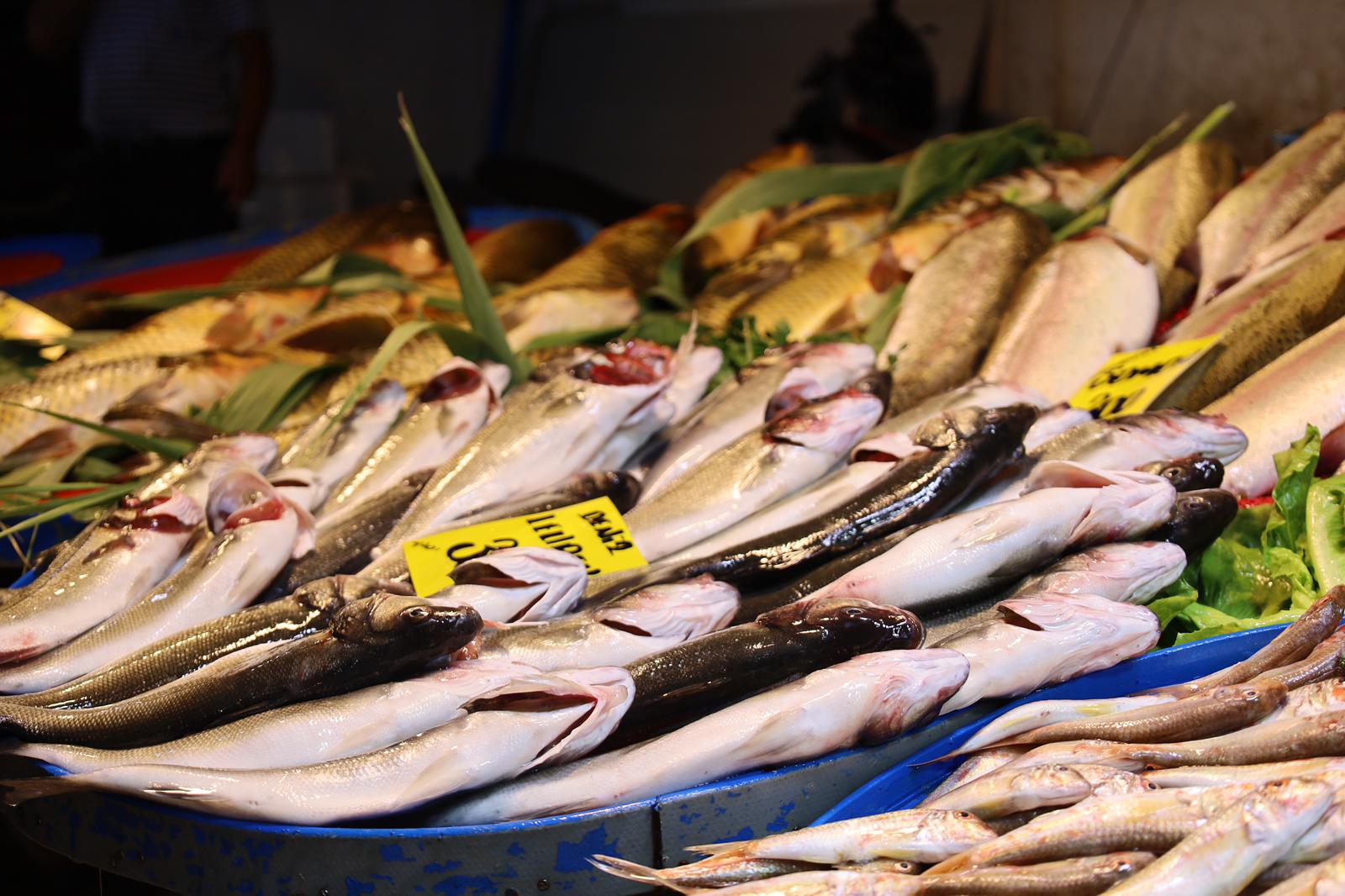 Turgutlu’da Balık Sezonu Açıldı: Tezgahlar Şenlendi