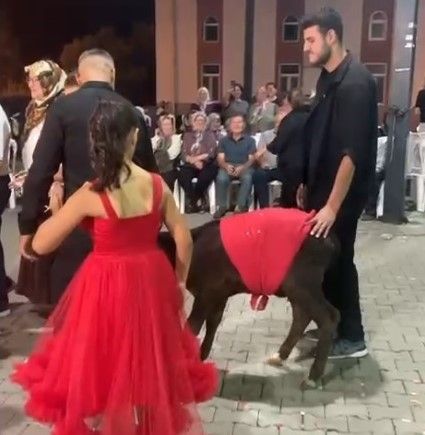 Düğün hediyesine yenisi eklendi: Görenler şaşkına döndü!