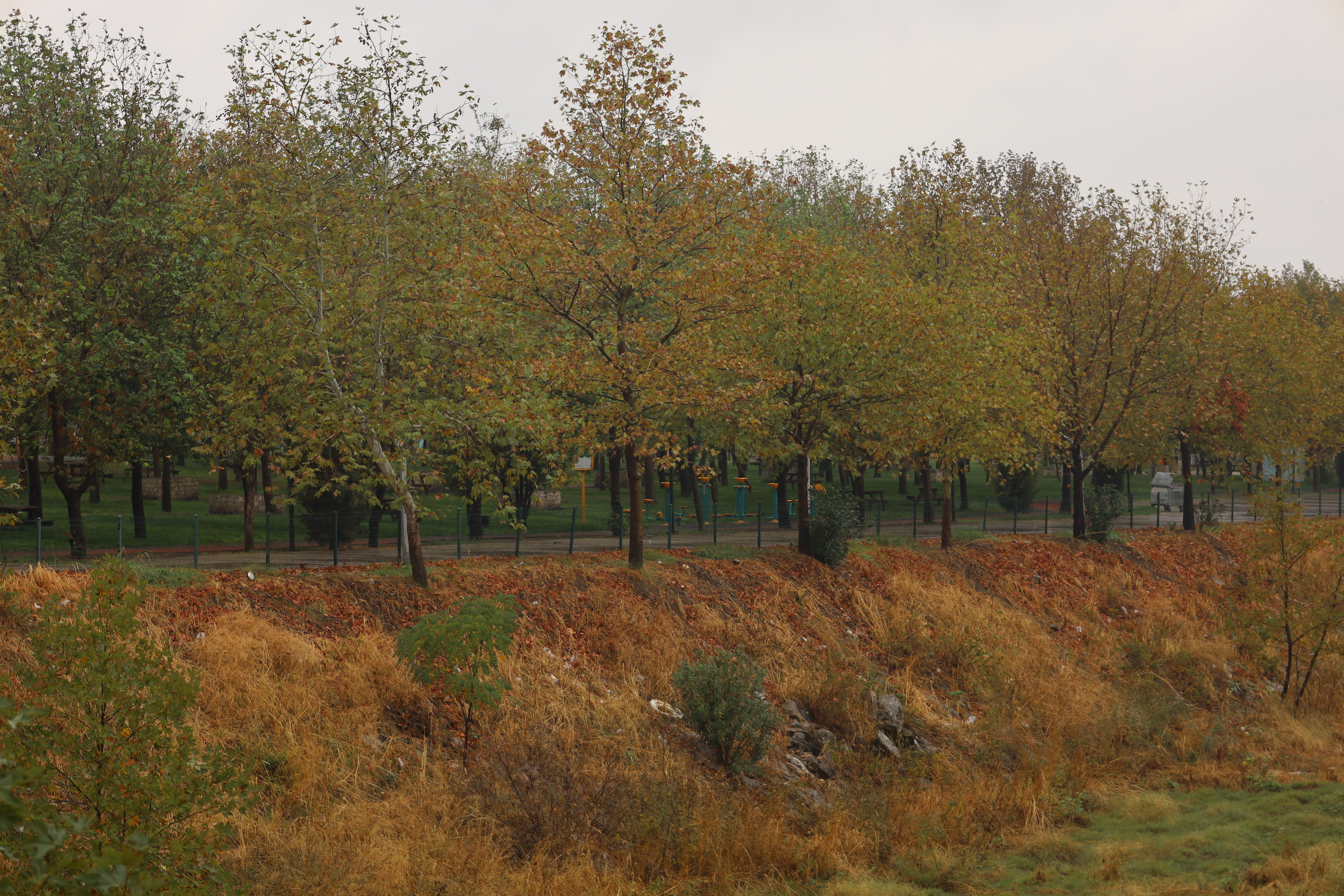 Turgutlu sonbahar renklerine büründü