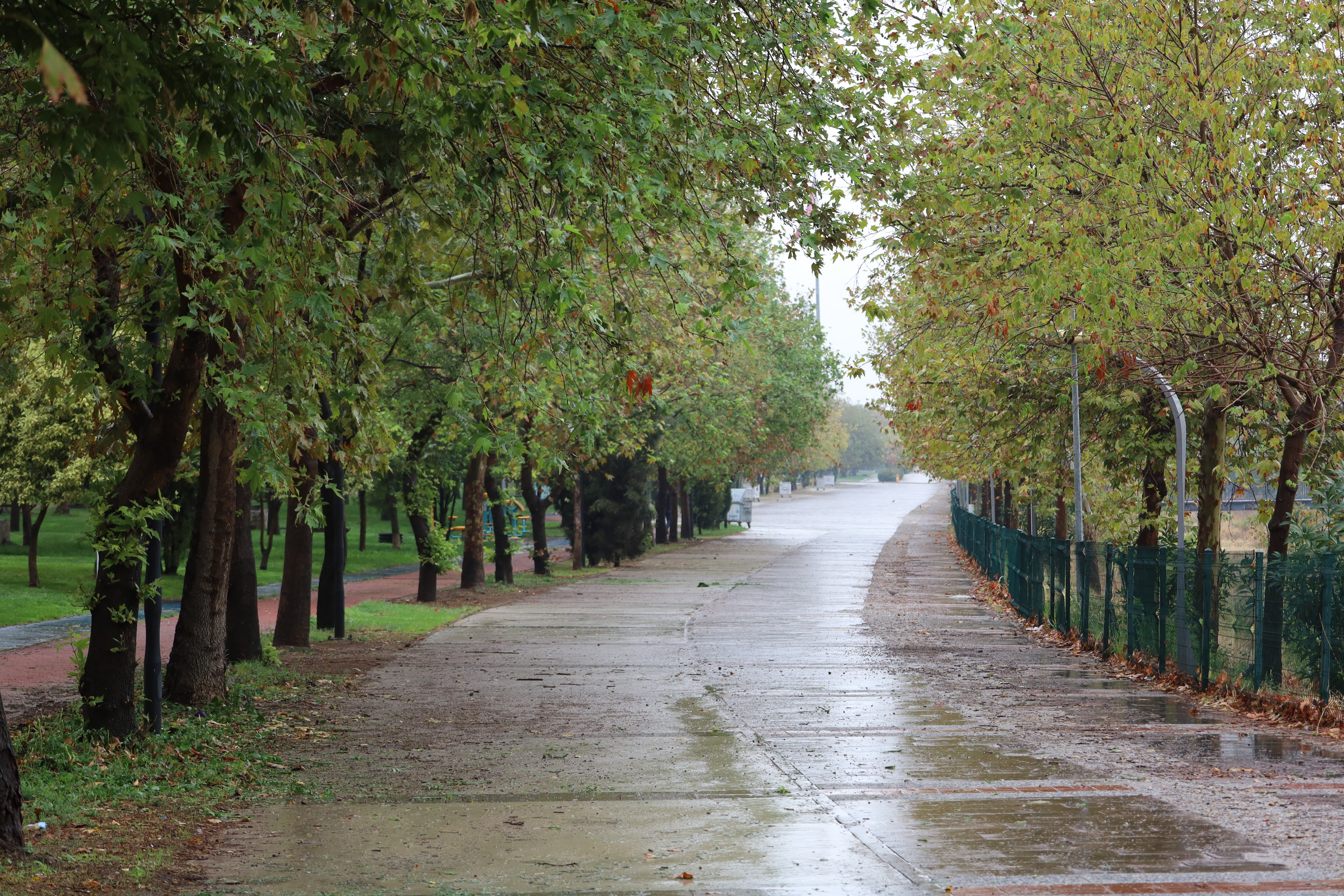 Turgutlu sonbahar renklerine büründü