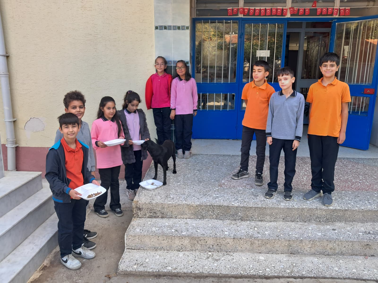 Çatalköprü İlkokulu Öğrencilerinden Can Dostlara Mama Desteği