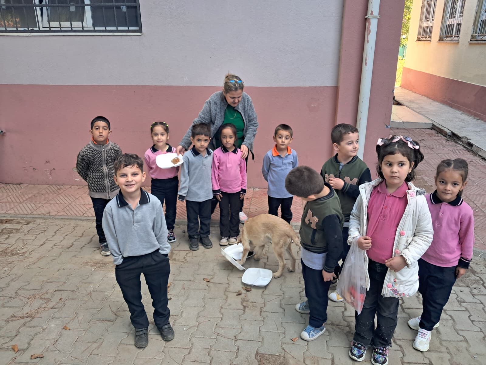 Çatalköprü İlkokulu Öğrencilerinden Can Dostlara Mama Desteği