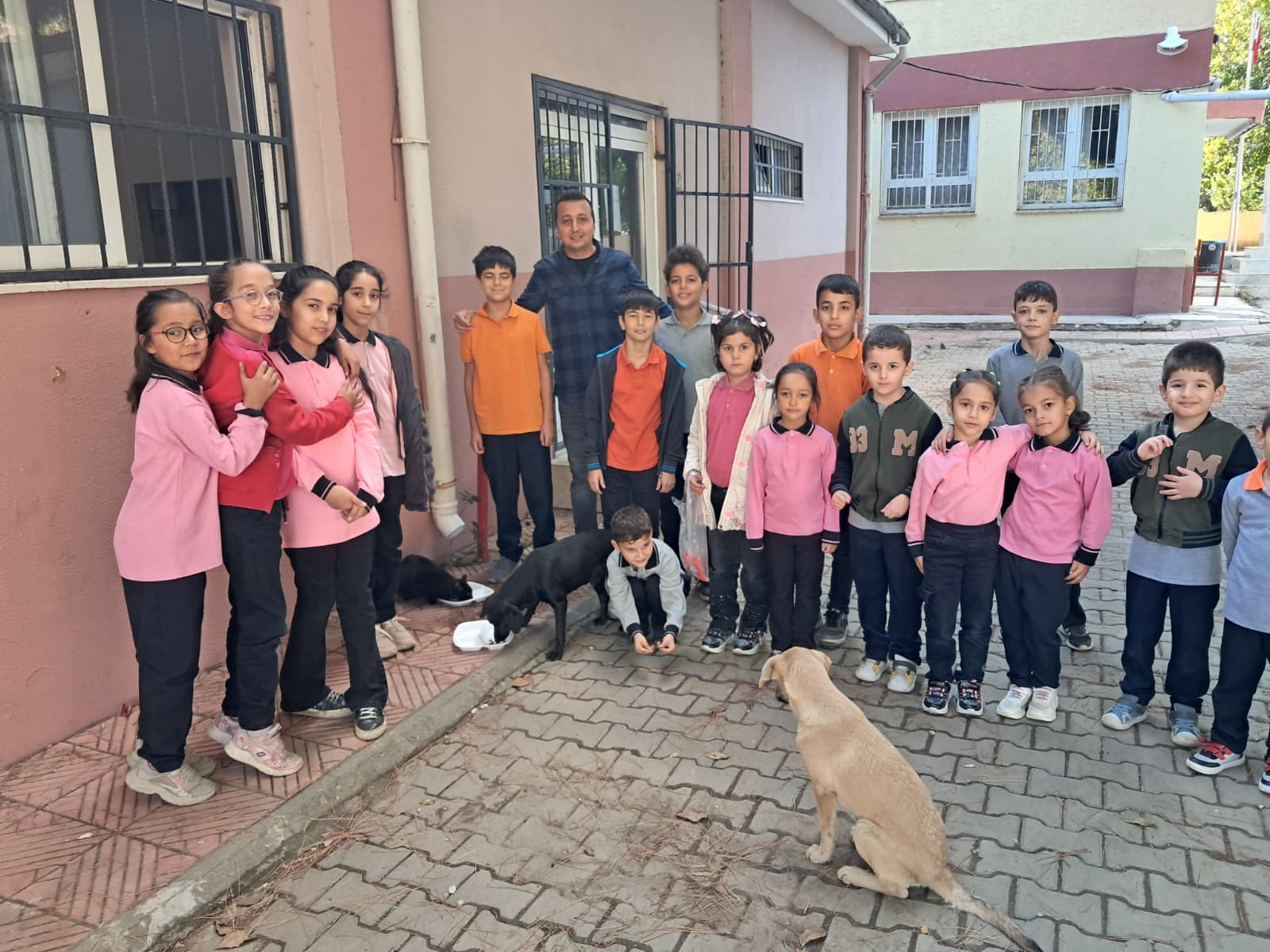 Çatalköprü İlkokulu Öğrencilerinden Can Dostlara Mama Desteği