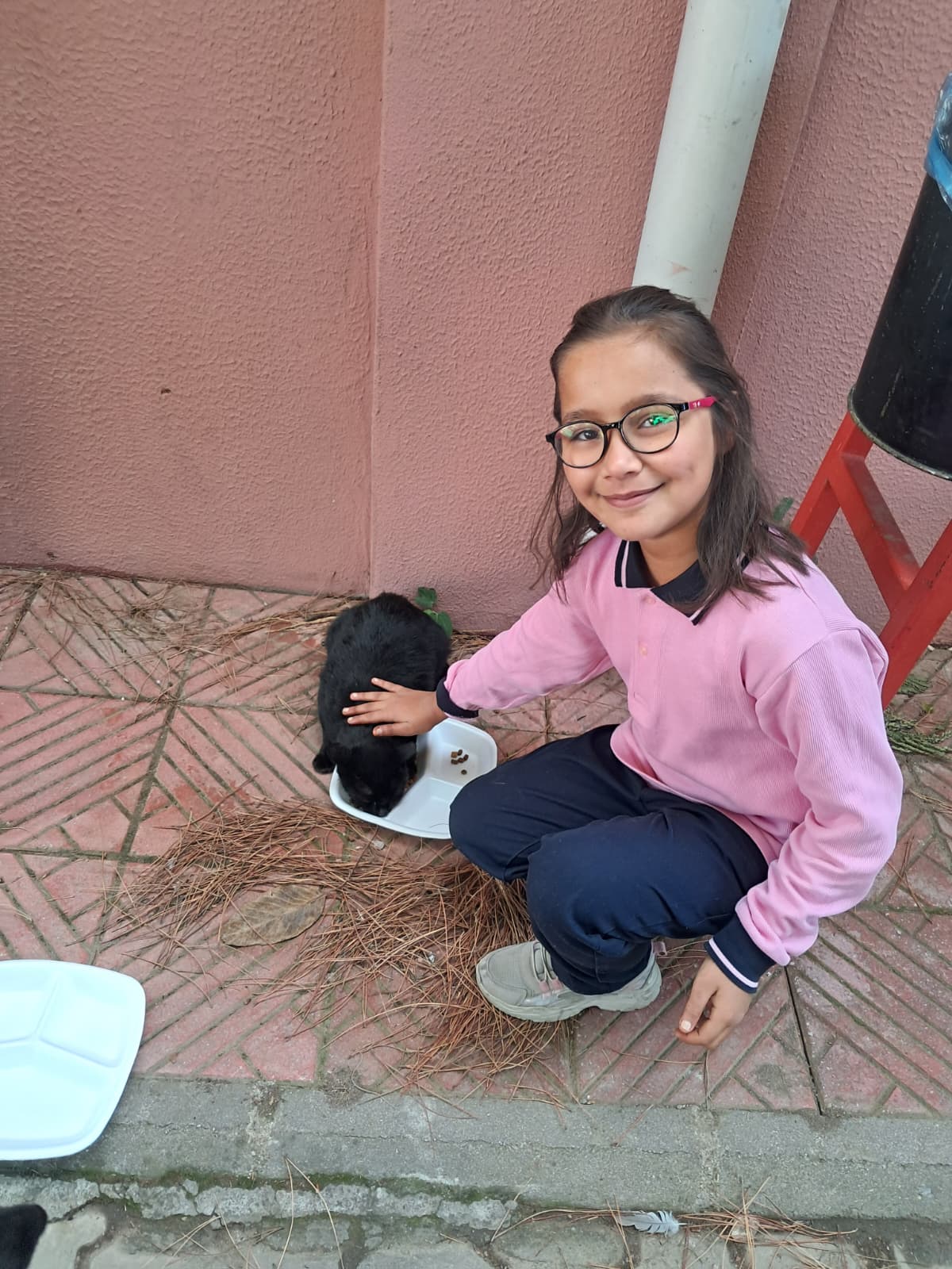 Çatalköprü İlkokulu Öğrencilerinden Can Dostlara Mama Desteği