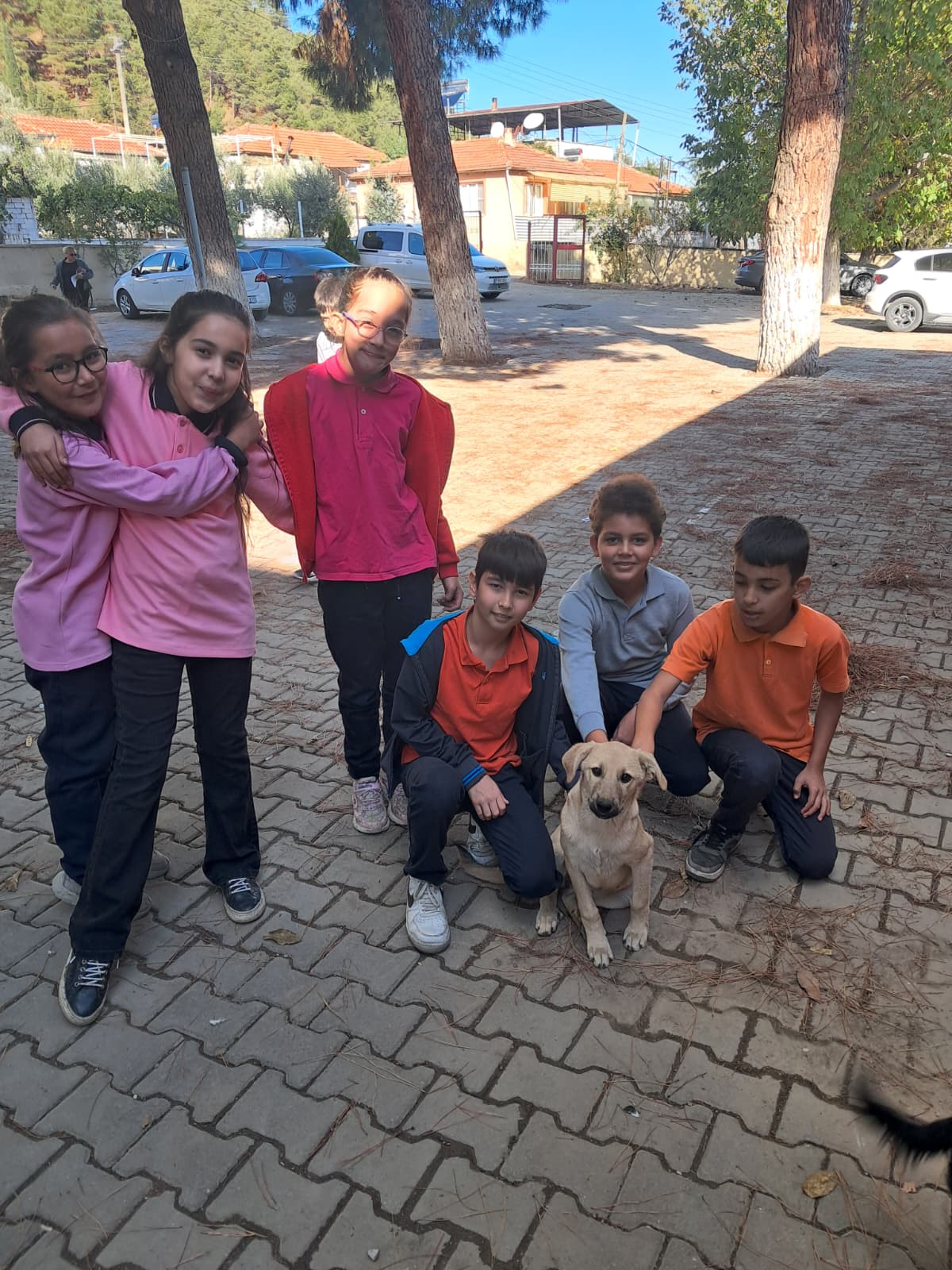 Çatalköprü İlkokulu Öğrencilerinden Can Dostlara Mama Desteği