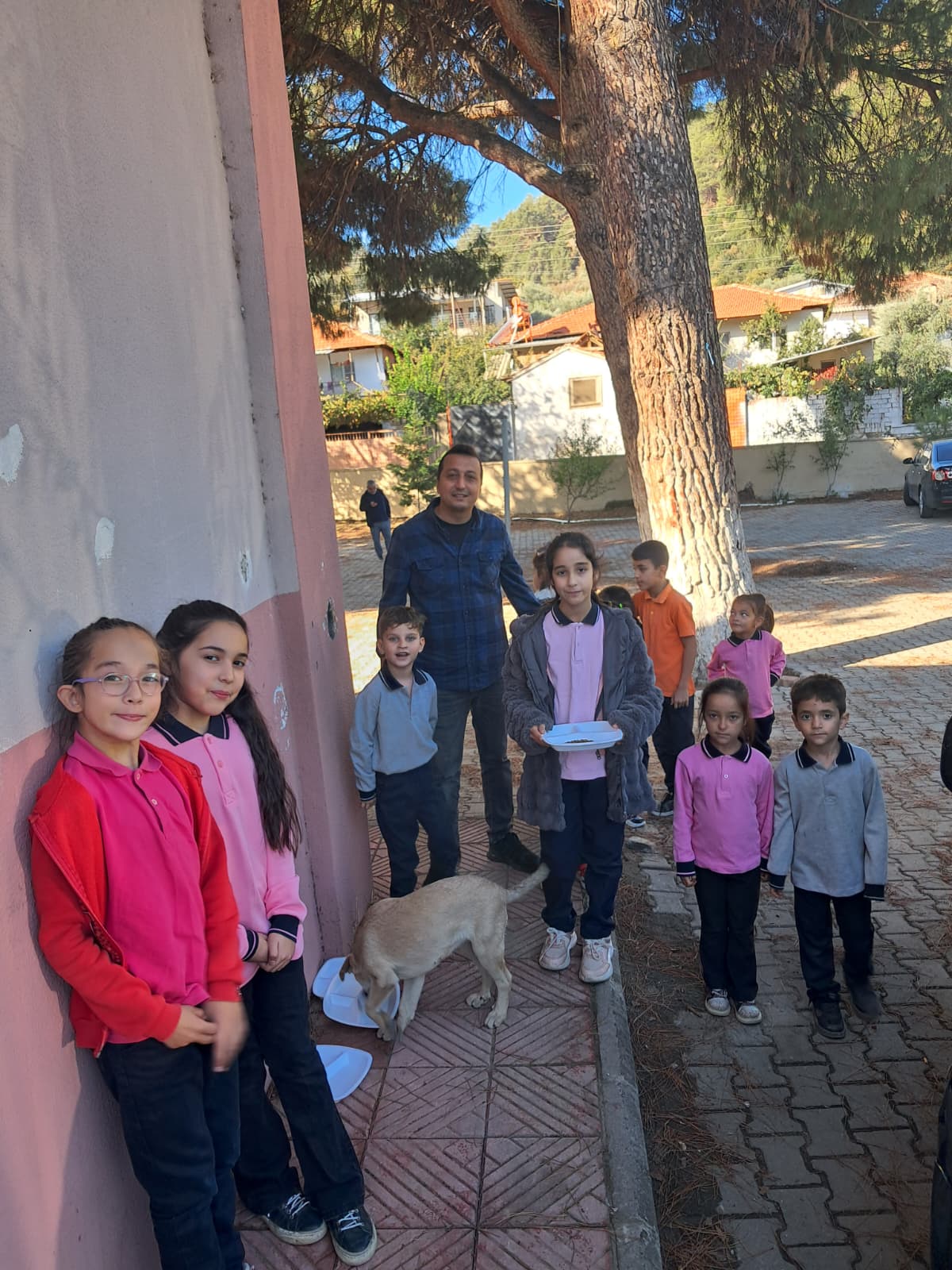 Çatalköprü İlkokulu Öğrencilerinden Can Dostlara Mama Desteği