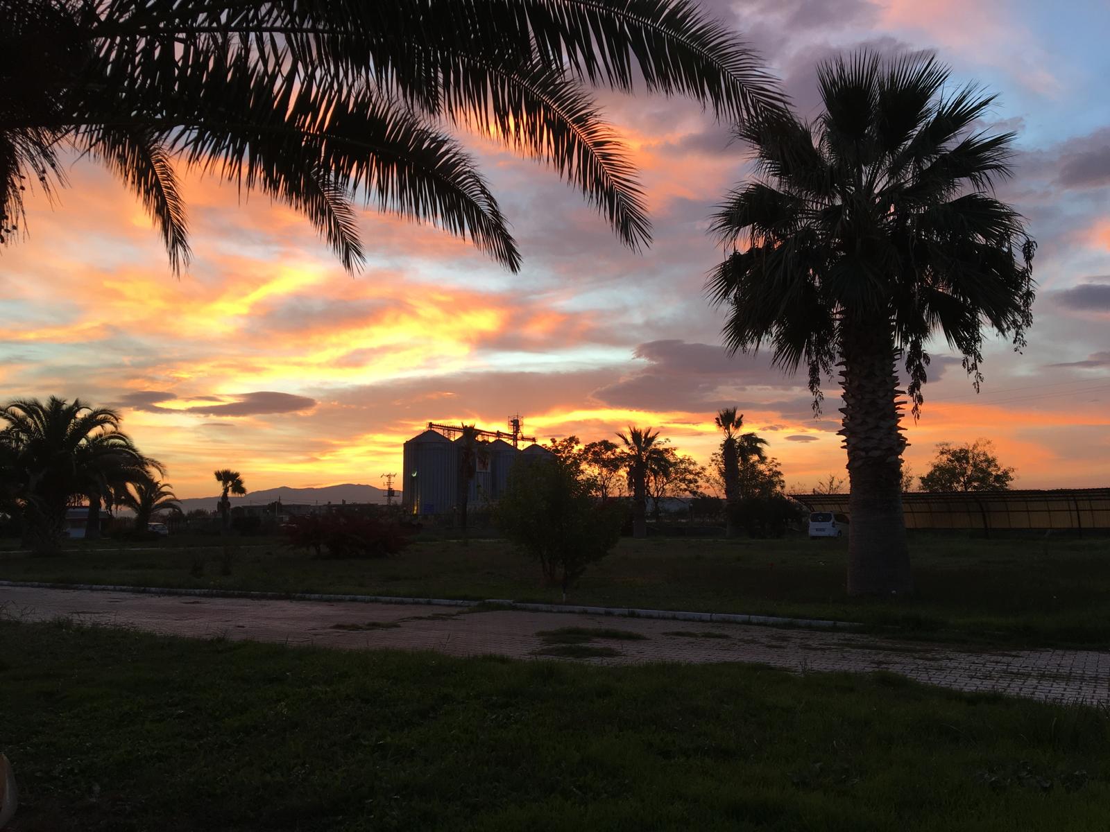 Manisa'da Sonbahar Büyüsü: Kartpostallık Renk Cümbüşü Yaşandı!