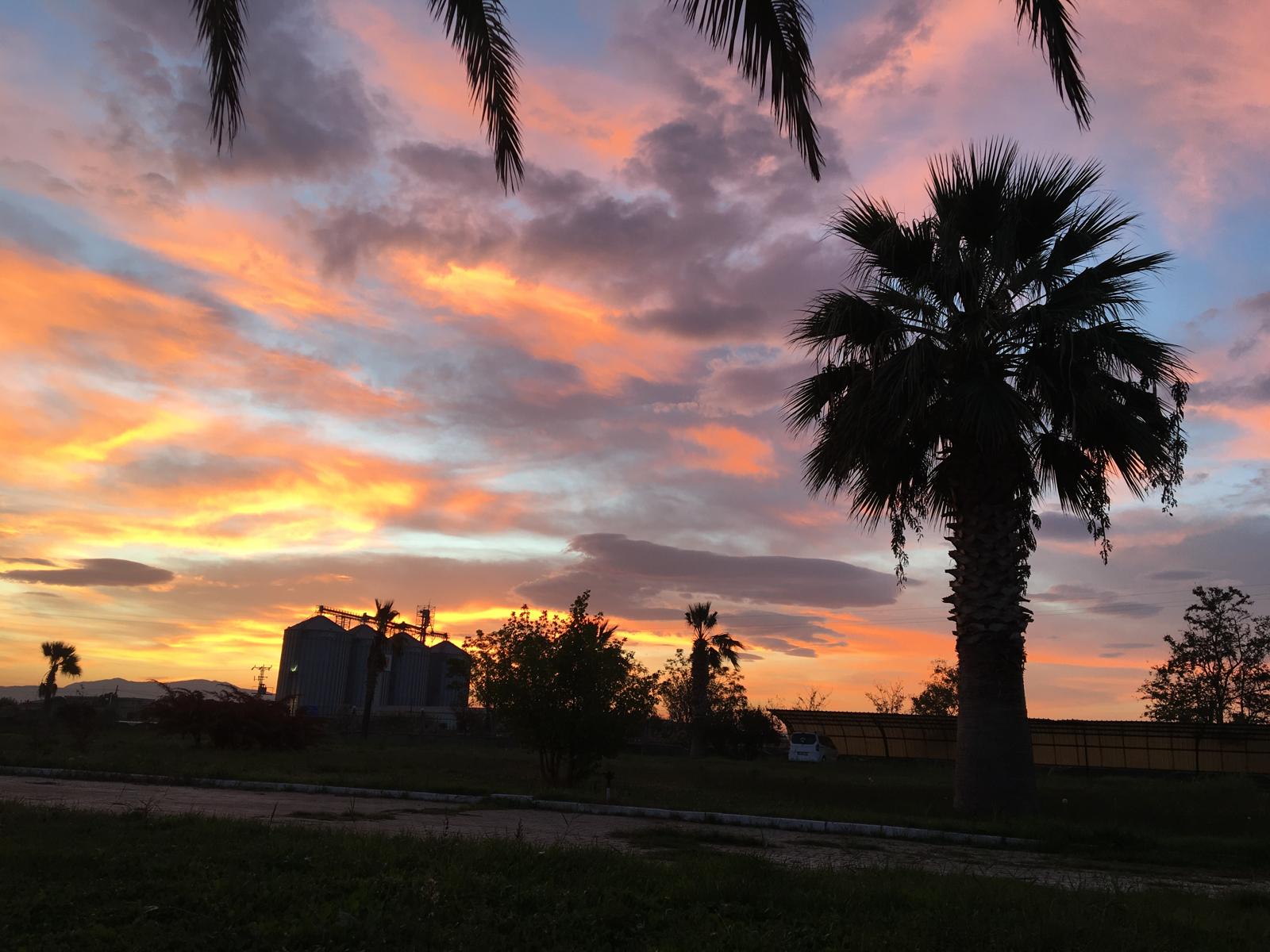Manisa'da Sonbahar Büyüsü: Kartpostallık Renk Cümbüşü Yaşandı!