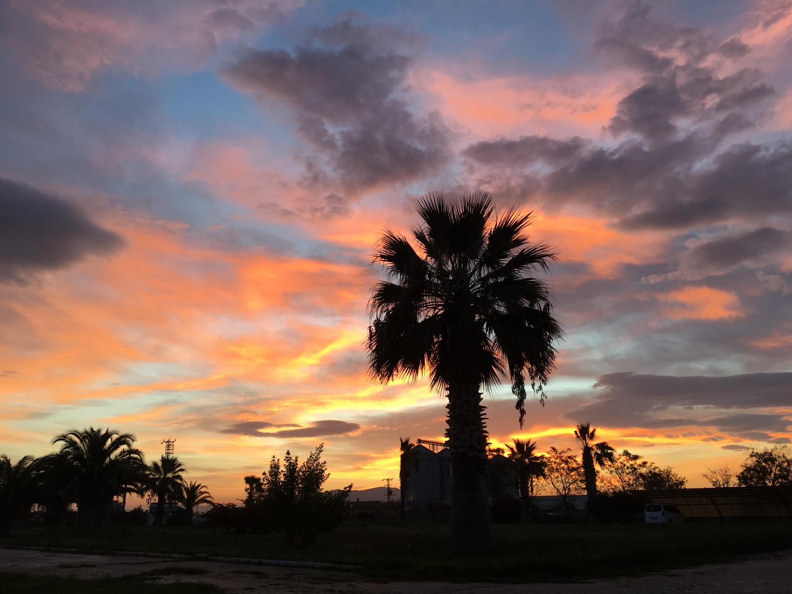 Manisa'da Sonbahar Büyüsü: Kartpostallık Renk Cümbüşü Yaşandı!