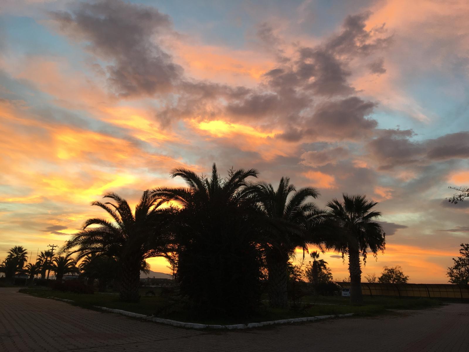 Manisa'da Sonbahar Büyüsü: Kartpostallık Renk Cümbüşü Yaşandı!