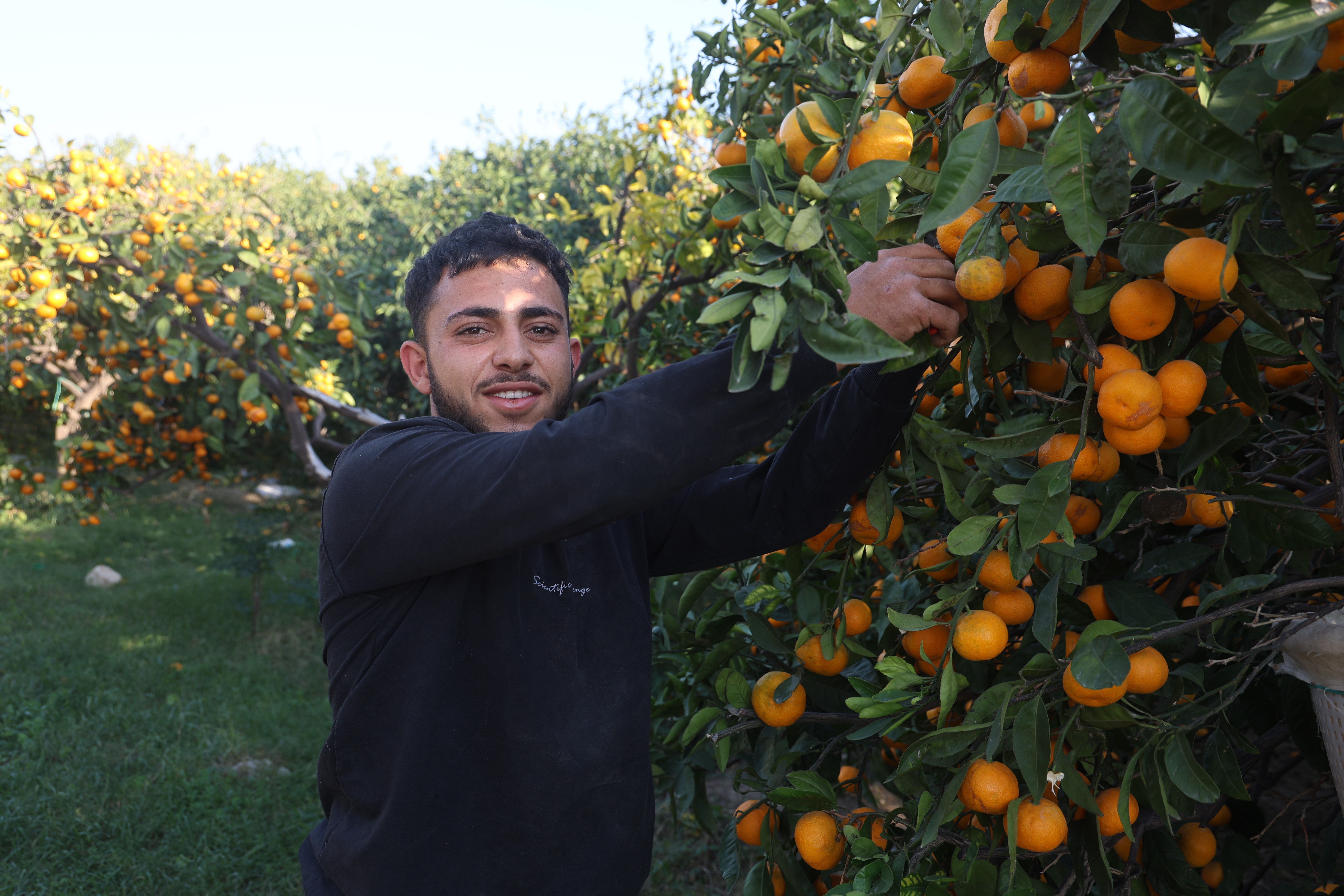 Fiyatı 2 TL'ye düşünce vatandaşa ücretsiz dağıttılar
