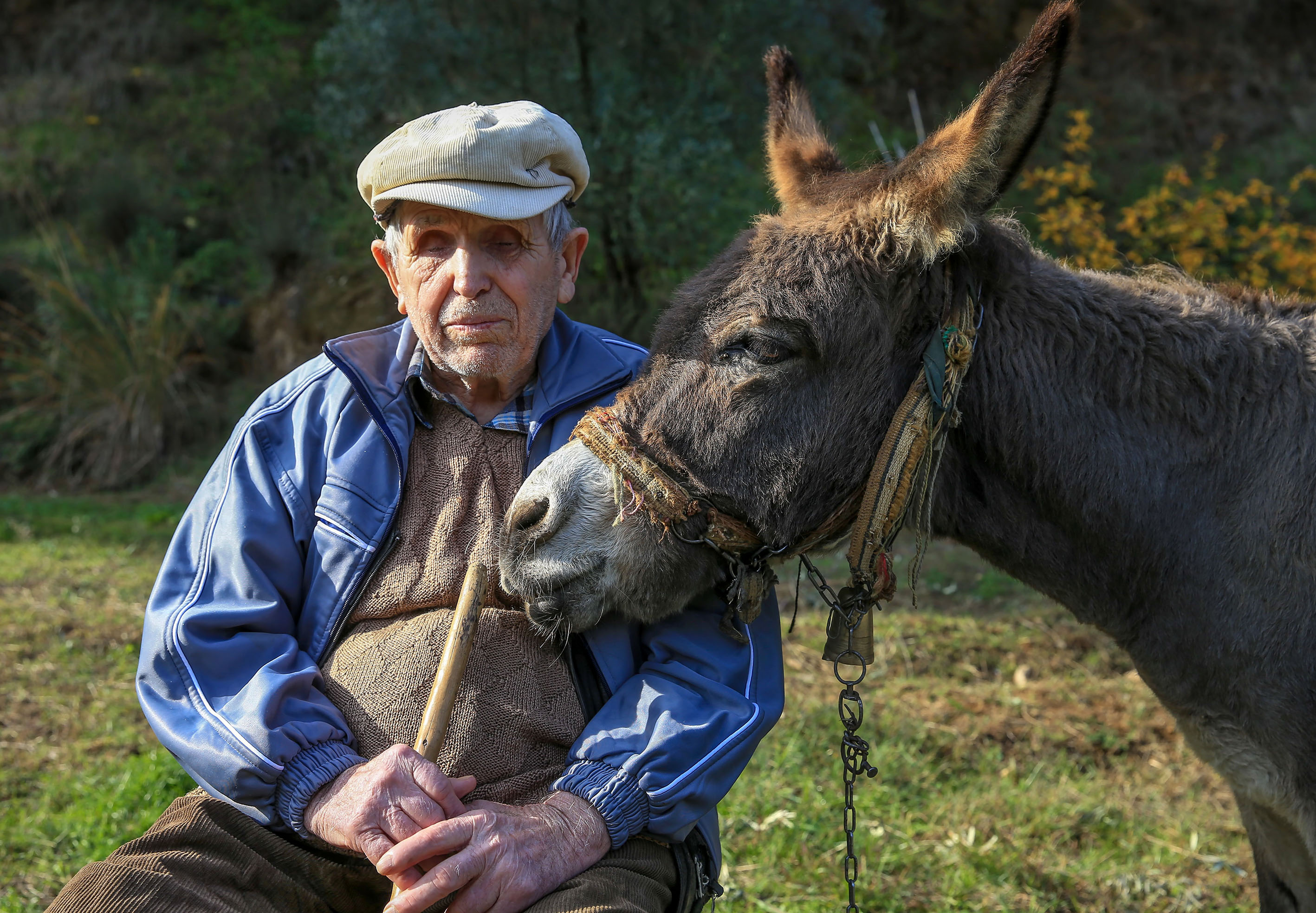 Görme Engelli Raif Amca, 24 Yıldır Eşeği “Magare” ile Yol Alıyor