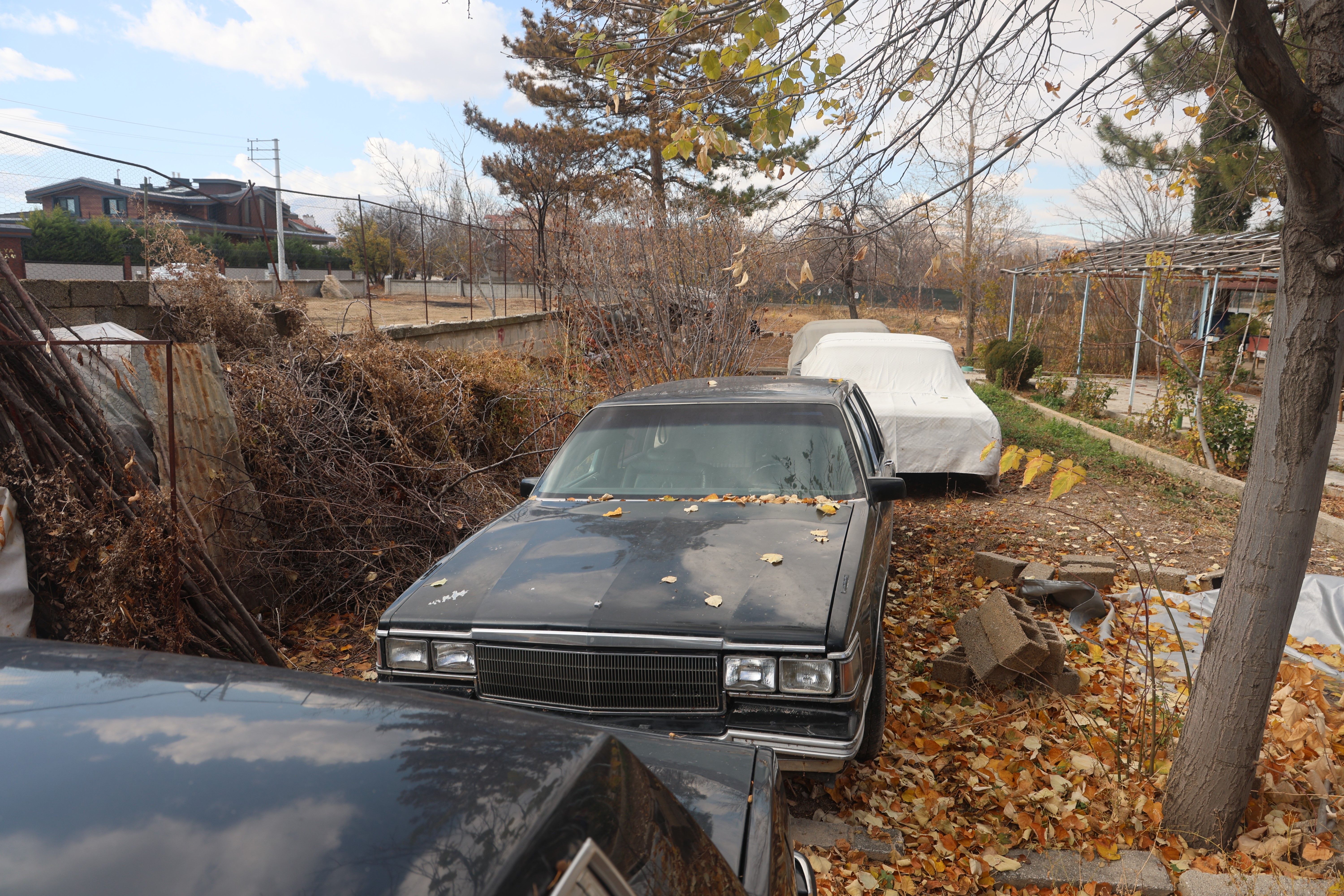 Bu sera bildiğiniz seralara benzemiyor: İçeride araba yetişiyor!