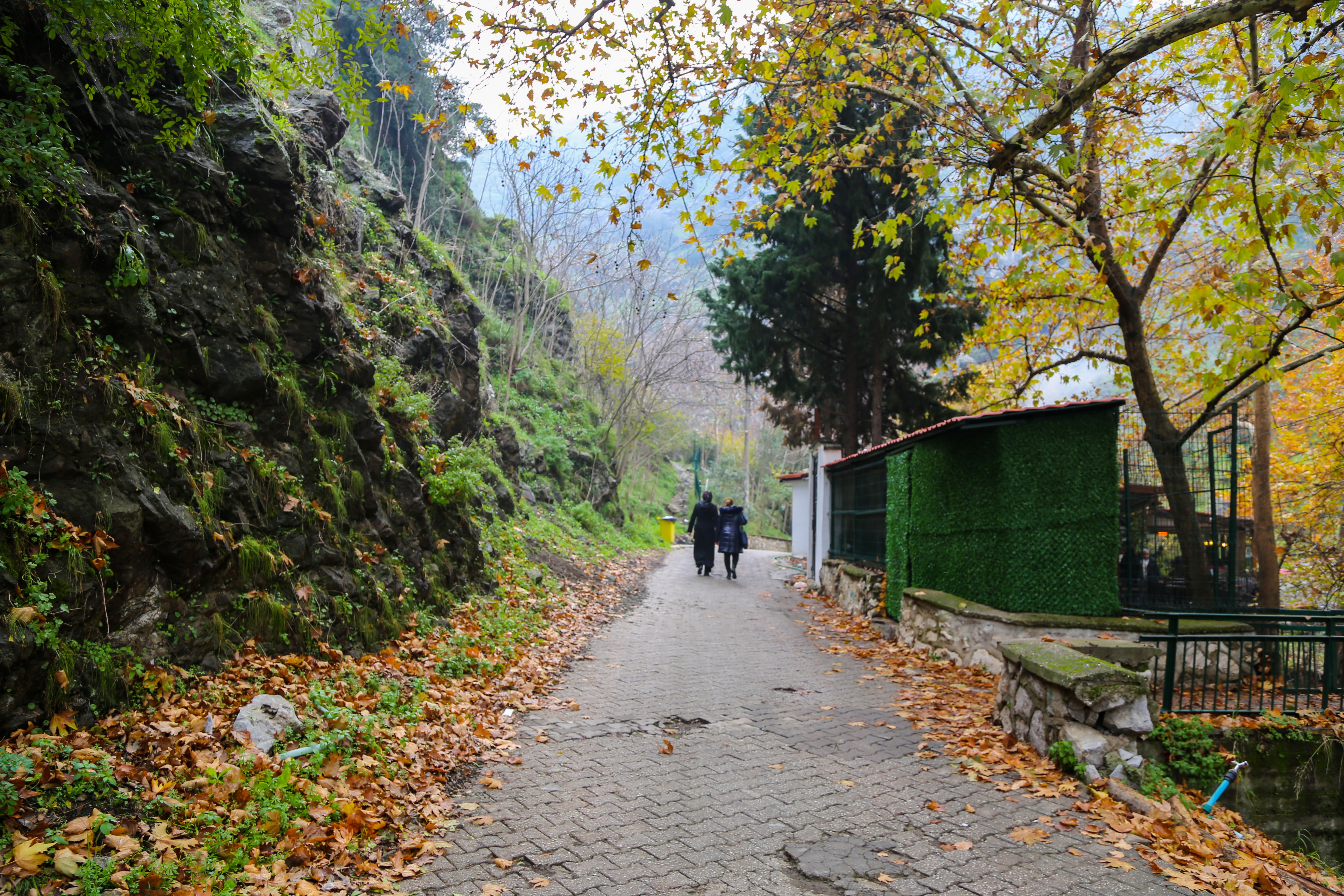 Çaybaşı Deresi Aralık Ayında Kartpostallık Görüntüler Sunuyor