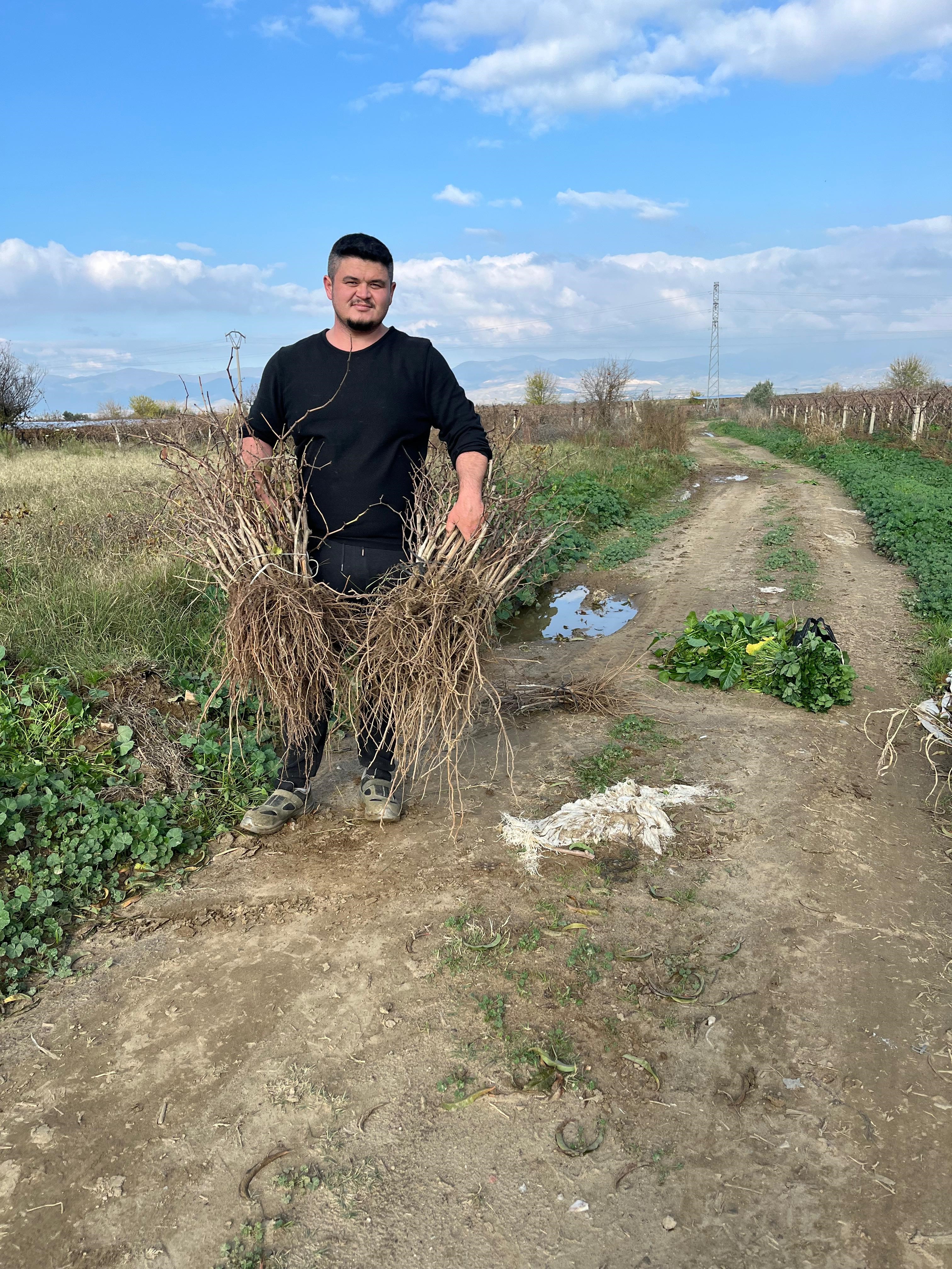 Manisalı Genç Kardeşlerden Tarıma 700 Bin Fidanlık Katkı