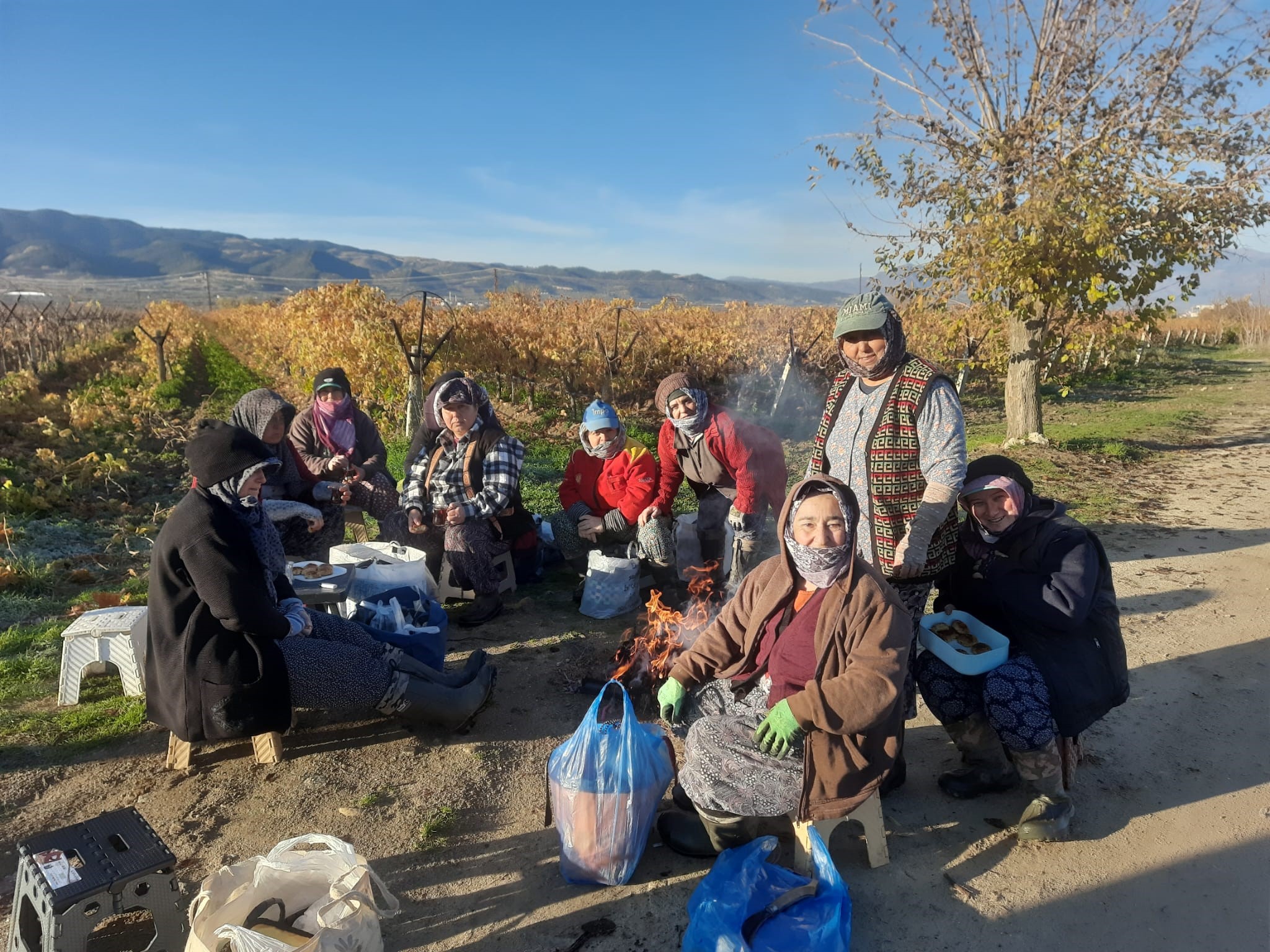 Manisa'da kadın işçiler üzüm bağlarına ‘Can’ veriyor