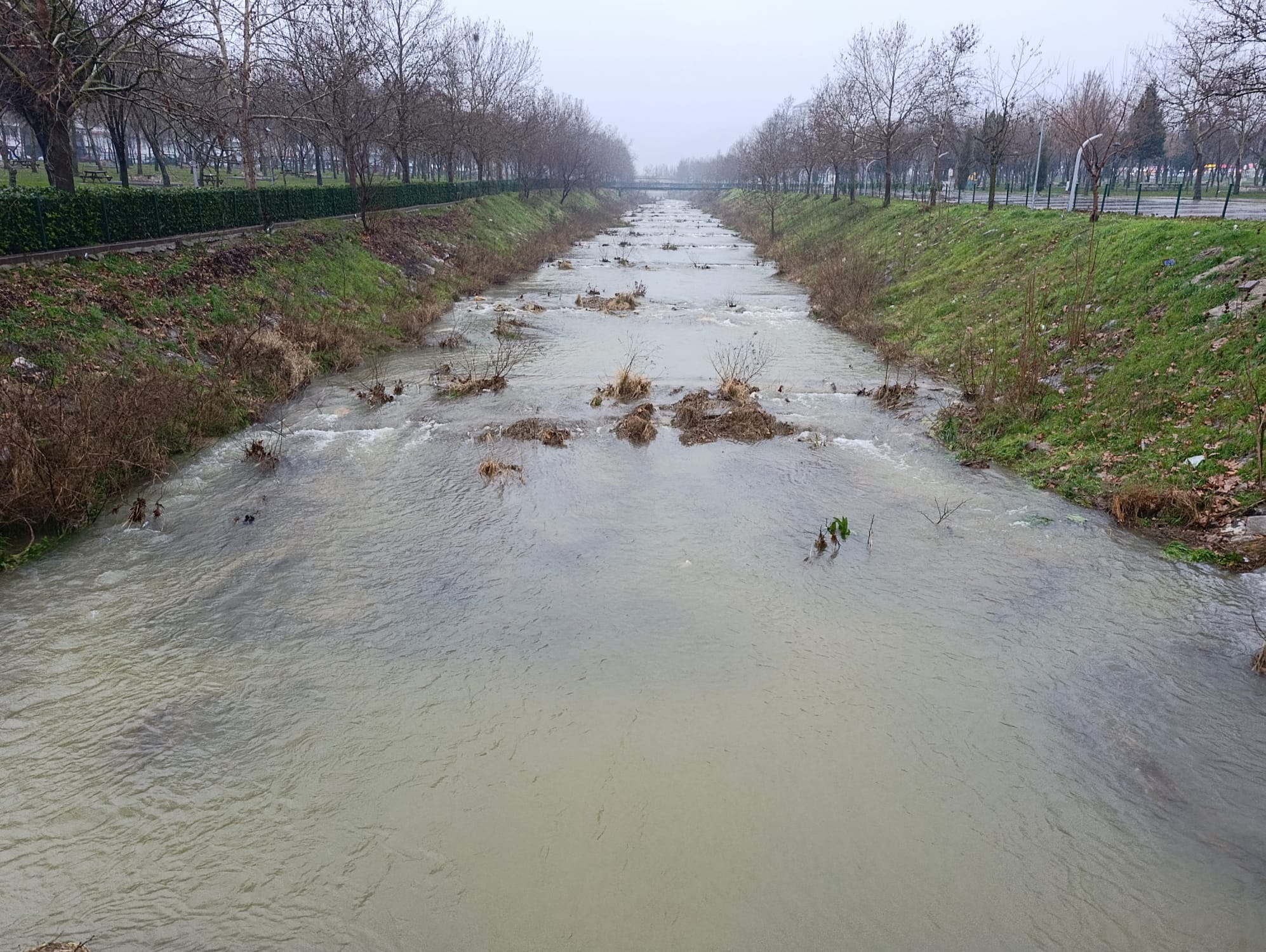 Sağanak yağışlar Irlamaz Çayı'na can suyu oldu!