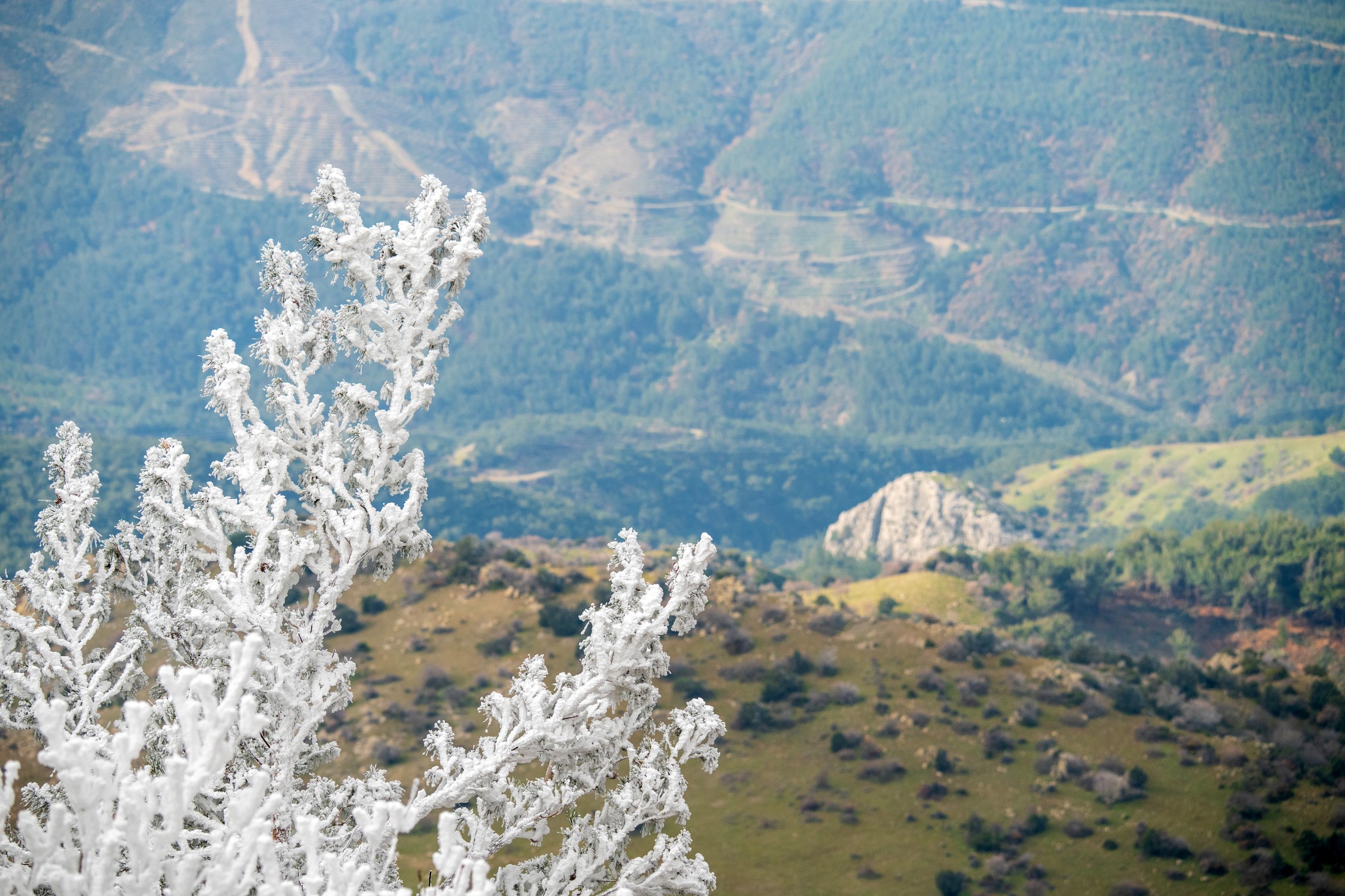 Spil Dağı Kar Yağmadan Buz Kesti: Milli Park Beyaza Büründü