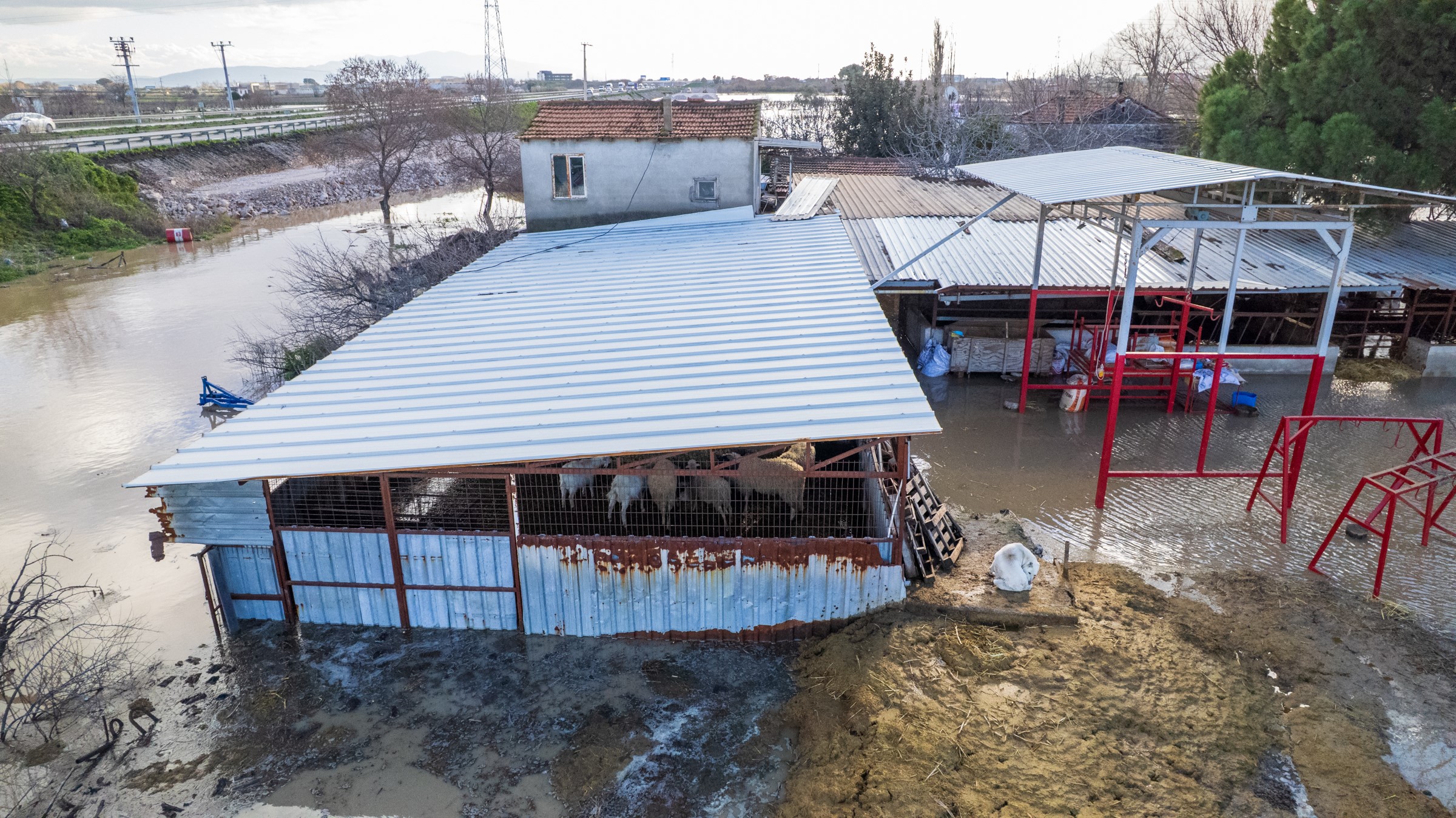 Manisa’da Selin Bilançosu Gün Ağarınca Ortaya Çıktı