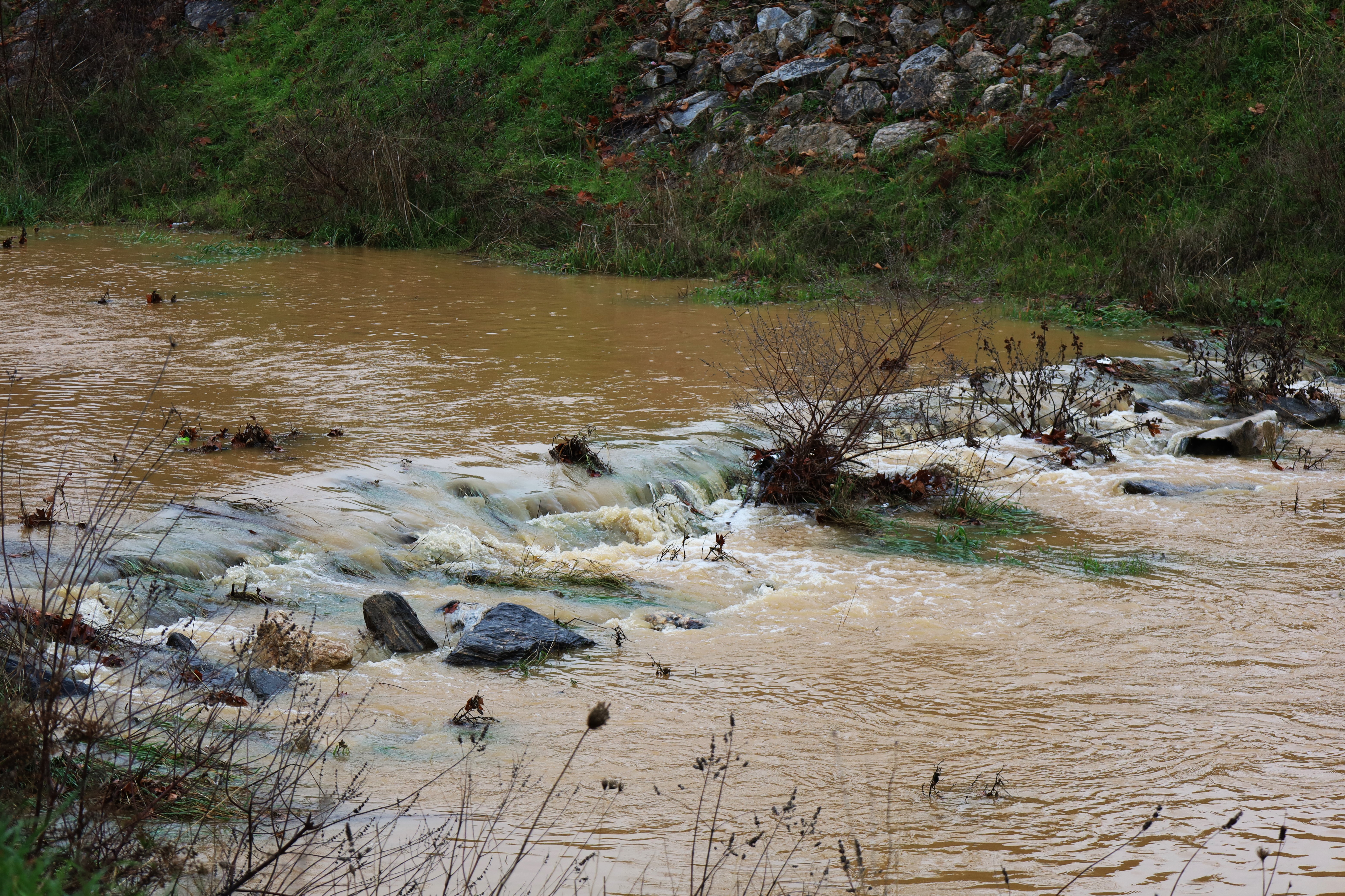 Kuruyan Irlamaz Çayı Yağışlarla Yeniden Canlandı