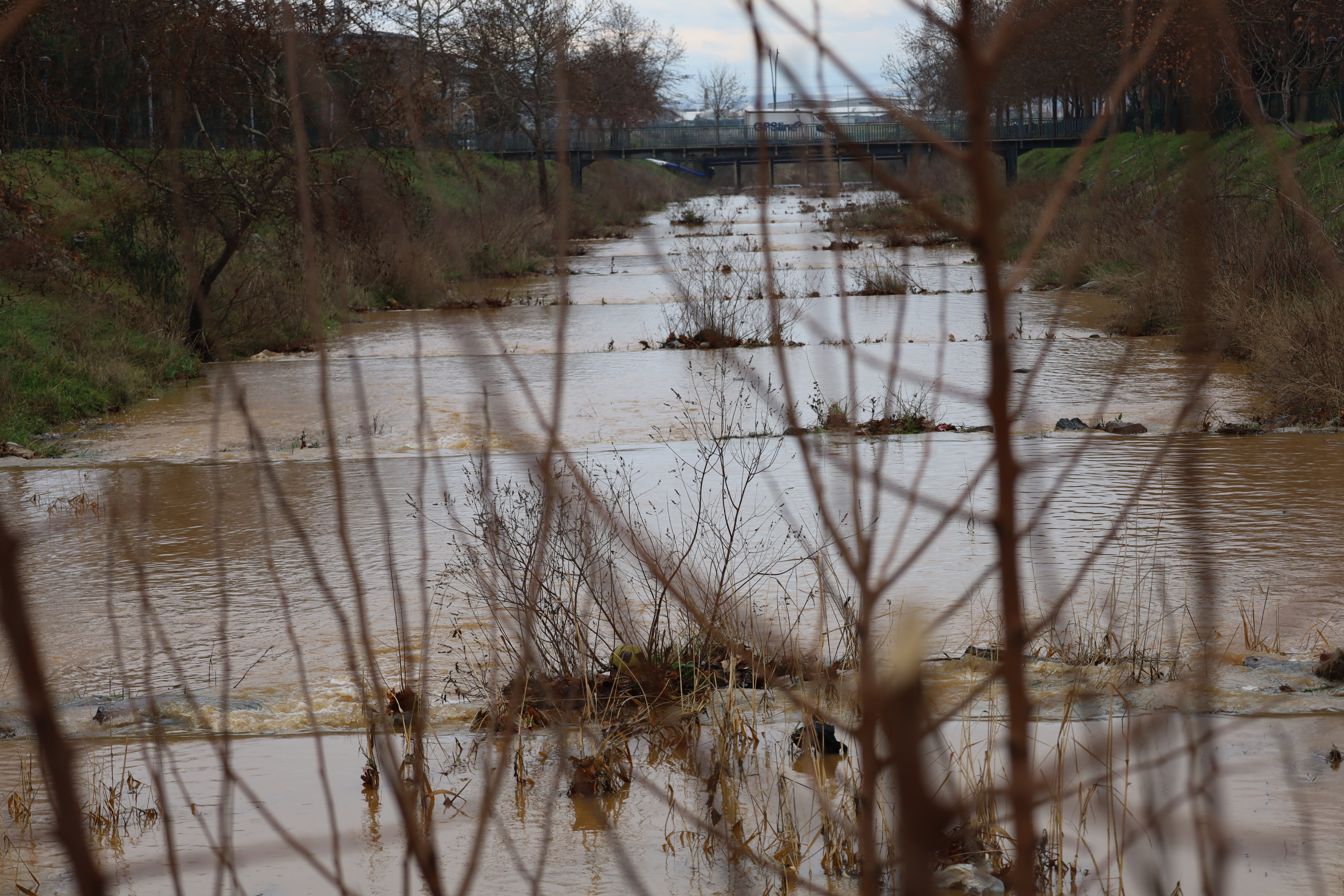 Kuruyan Irlamaz Çayı Yağışlarla Yeniden Canlandı