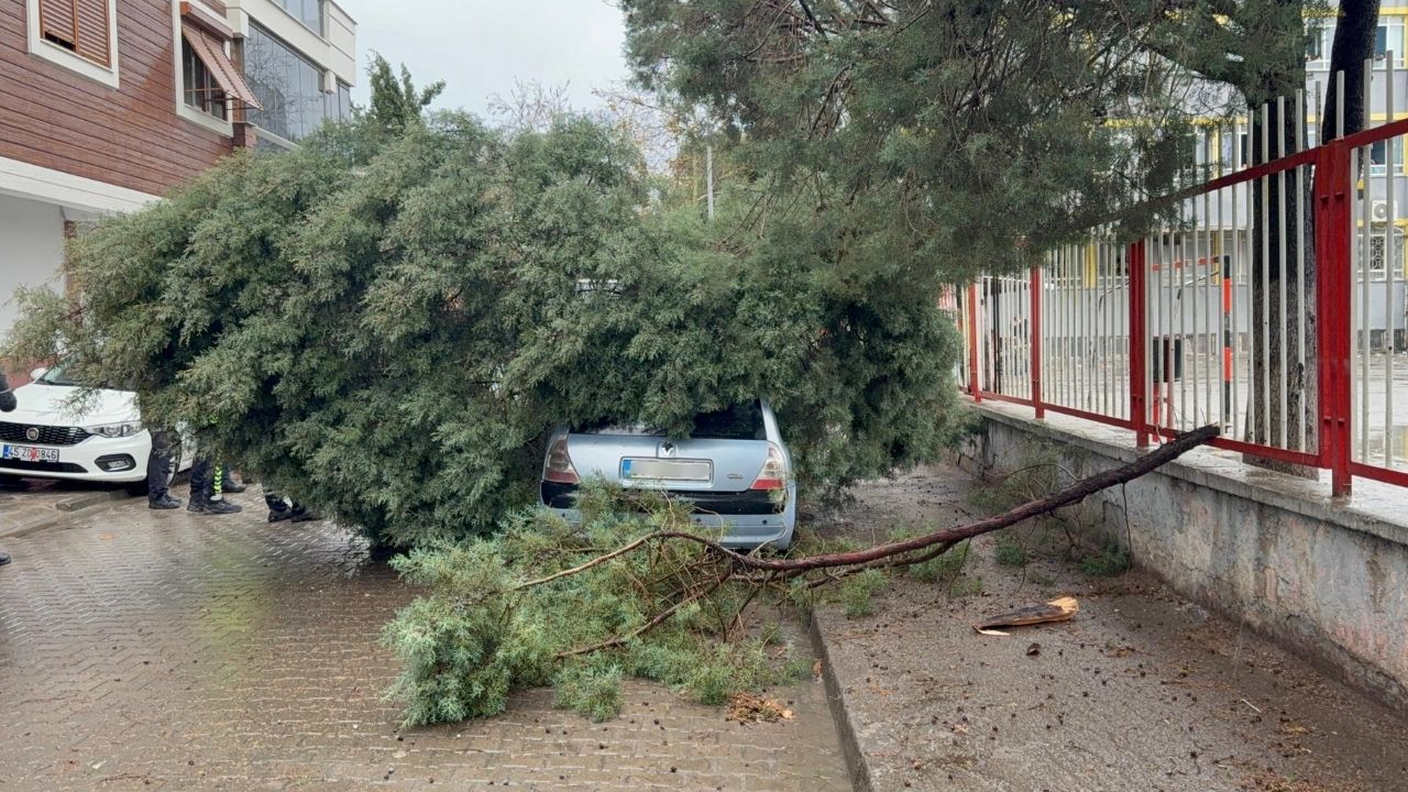 Turgutlu’da Şiddetli Fırtına: Otomobilin Üzerine Ağaç Devrildi
