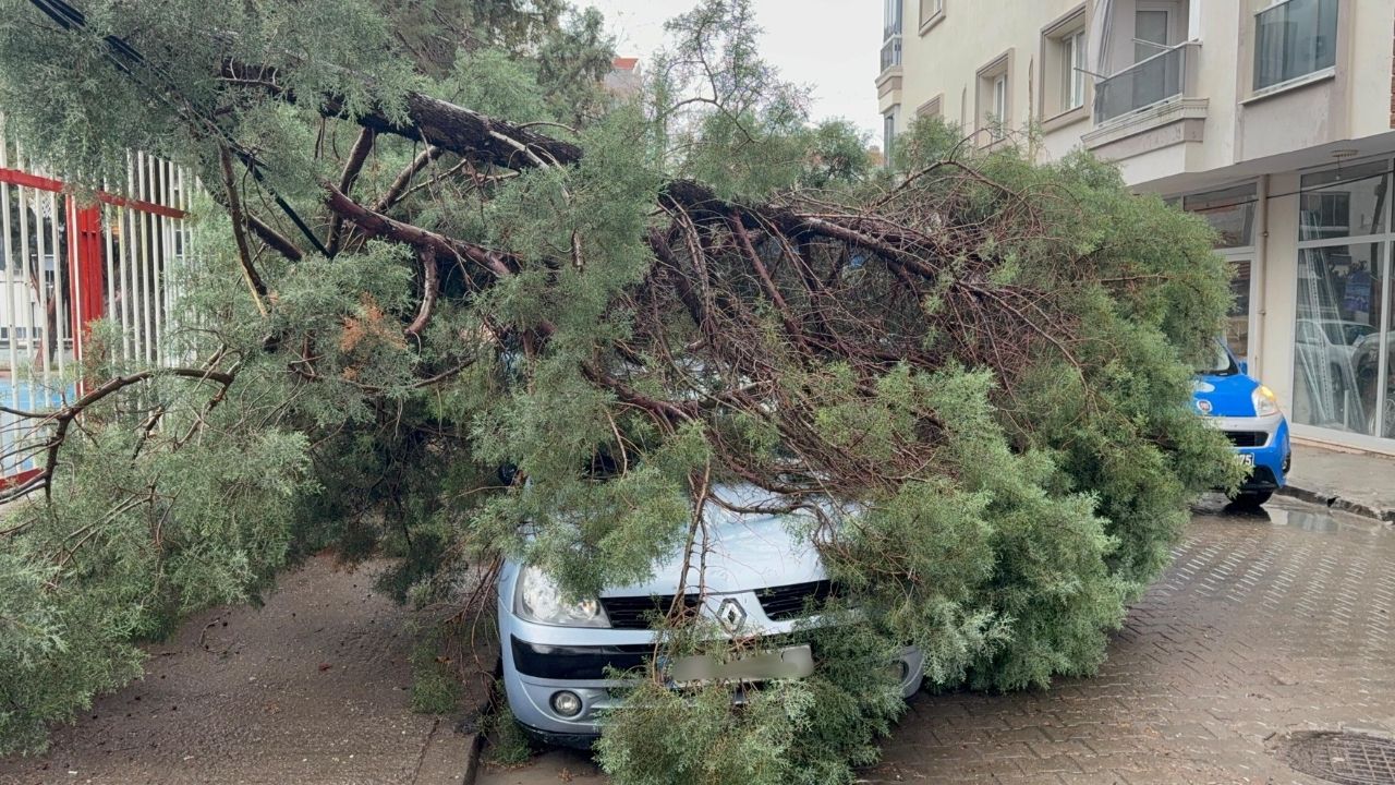 Turgutlu’da Şiddetli Fırtına: Otomobilin Üzerine Ağaç Devrildi