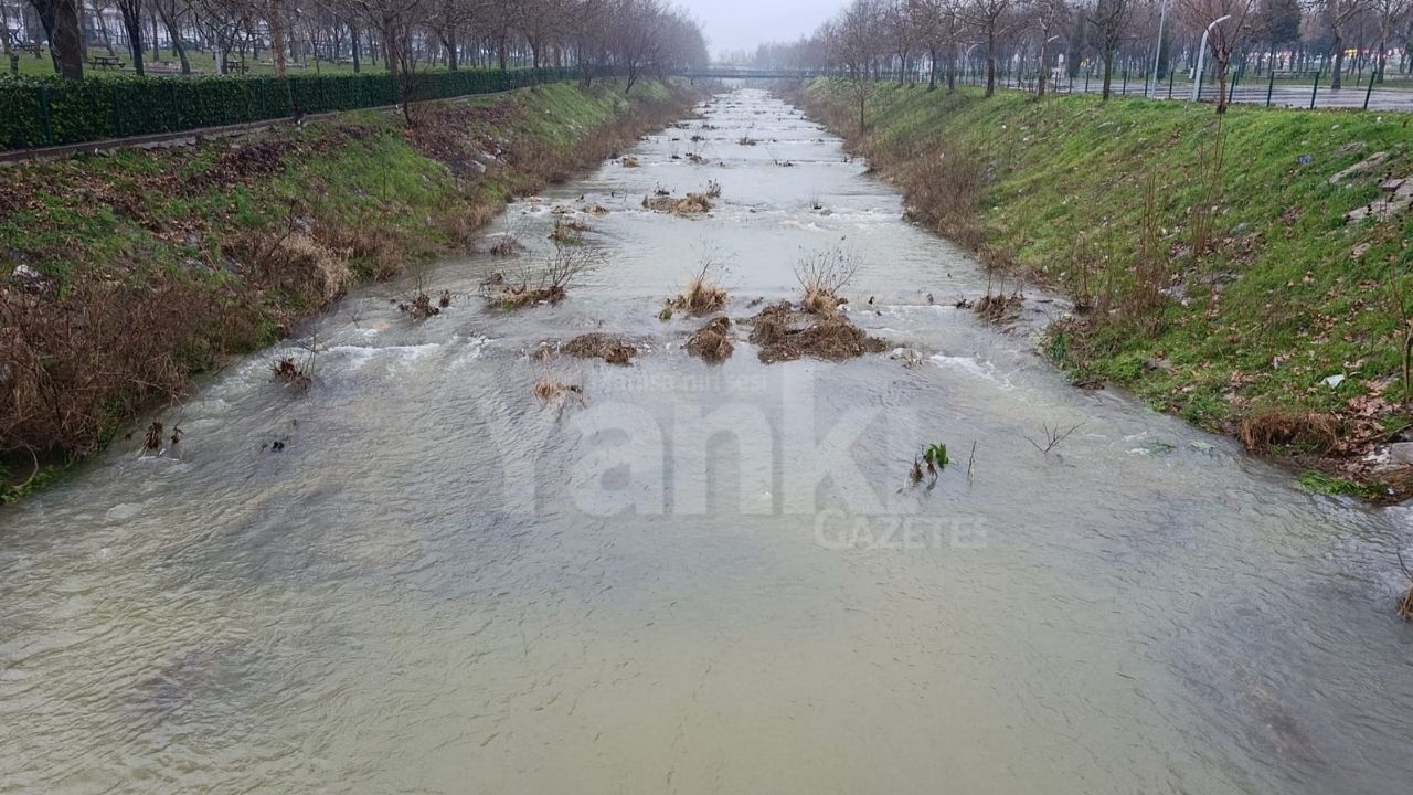 Sağanak yağışlar Irlamaz Çayı'na can suyu oldu!