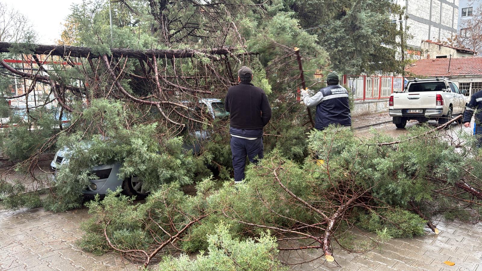 Turgutlu’da Şiddetli Fırtına: Otomobilin Üzerine Ağaç Devrildi