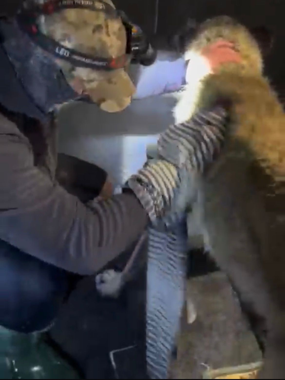 Taşkında mahsur kalan köpeklerin imdadına hayvanseverler yetişti