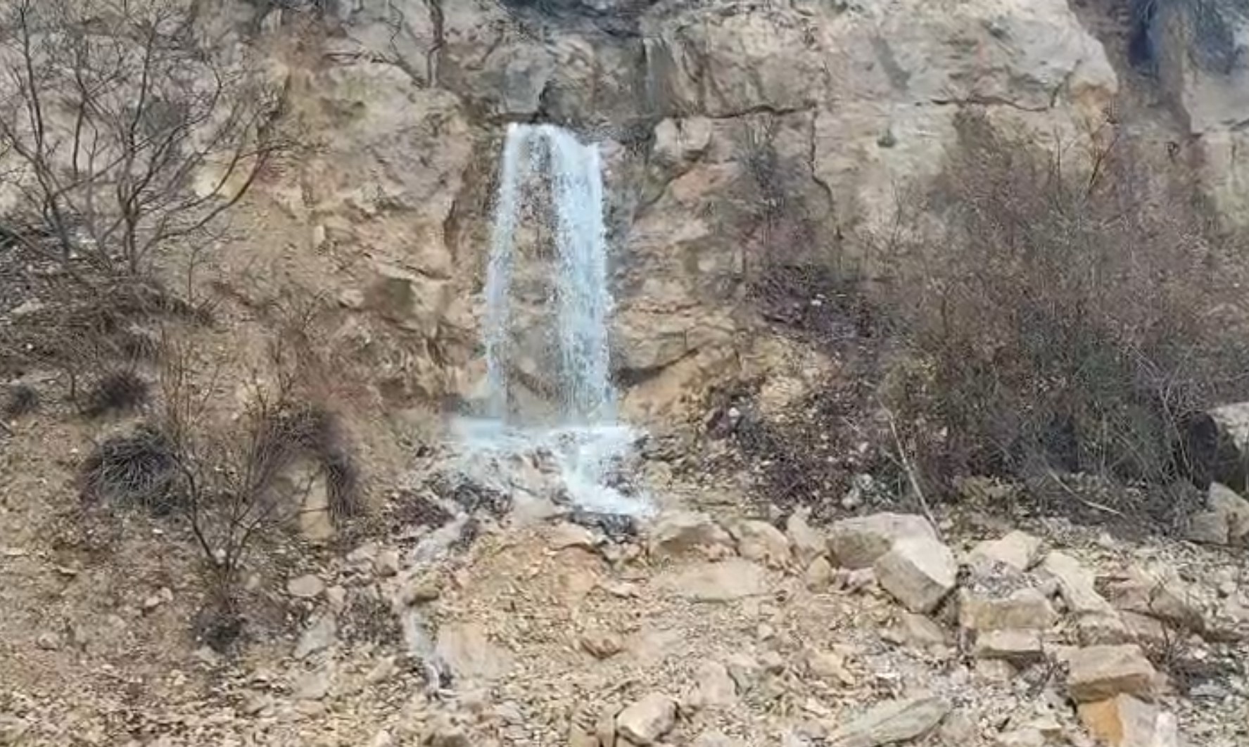 Manisa'da o göl yeniden canlandı!