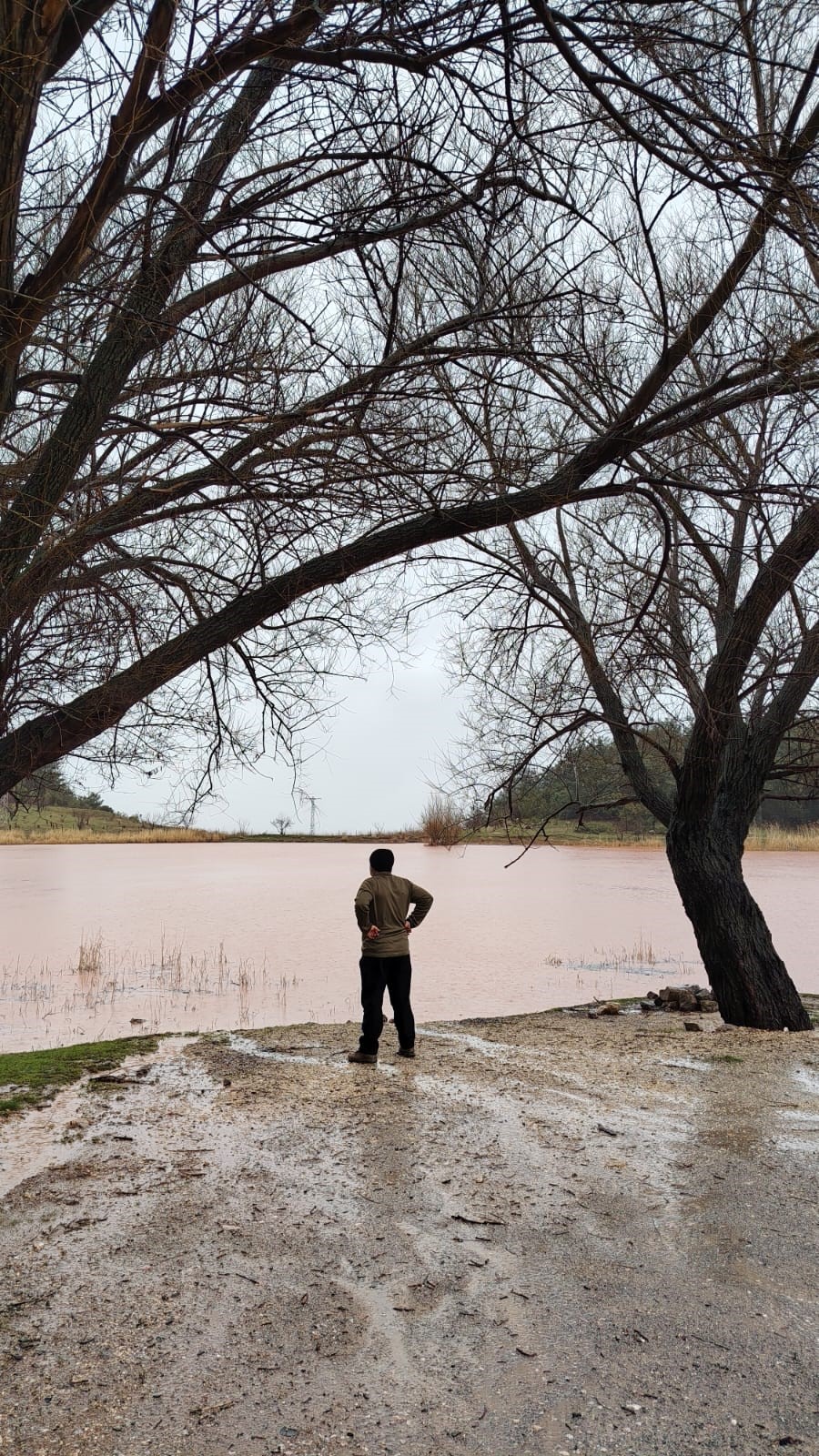 Manisa'da o göl yeniden canlandı!