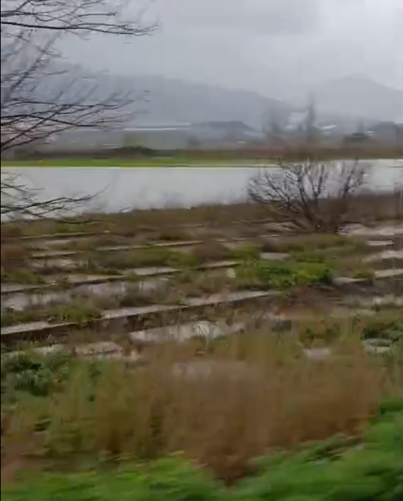 Manisa'da tarlalar ve araziler göle döndü!