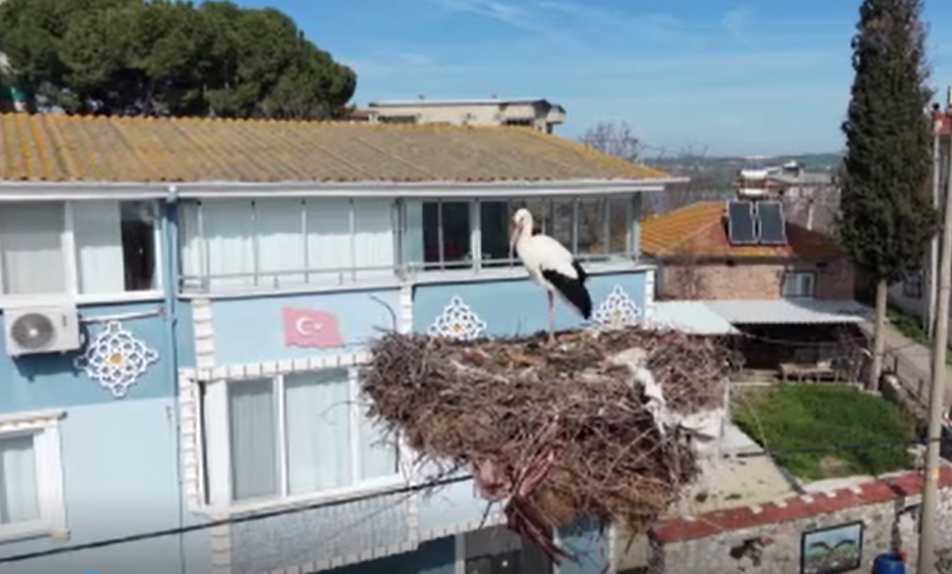 Yaren Leylek’in eşi geldi; herkes Yaren’i bekliyor