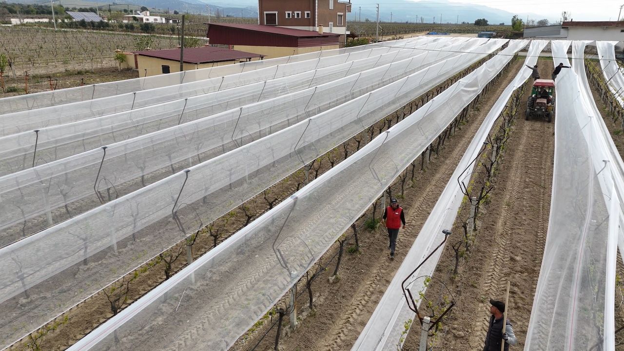 Kadın girişimciden tarımda akılcı çözüm