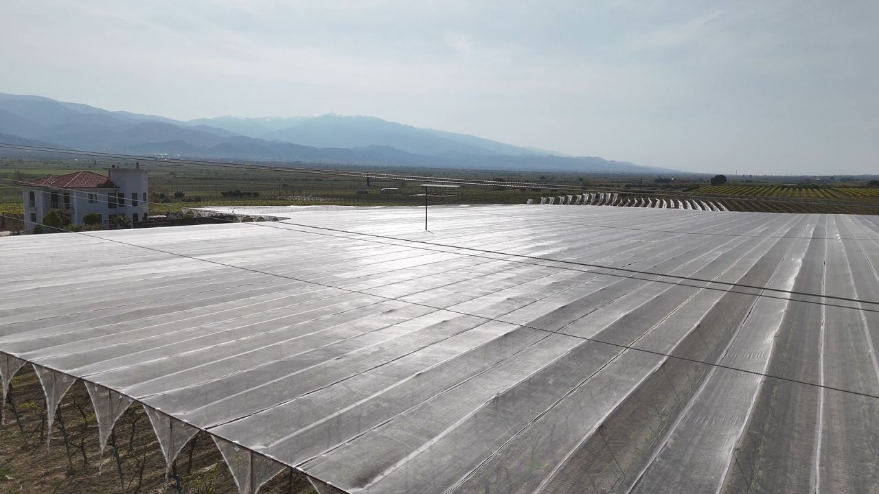 Kadın girişimciden tarımda akılcı çözüm