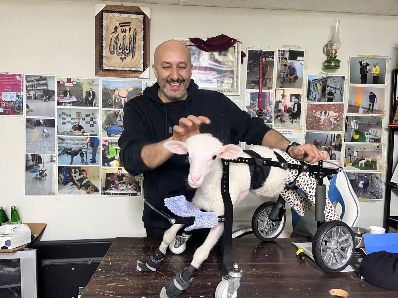 Demir Ustası Felçli Hayvanlara Umut Oldu