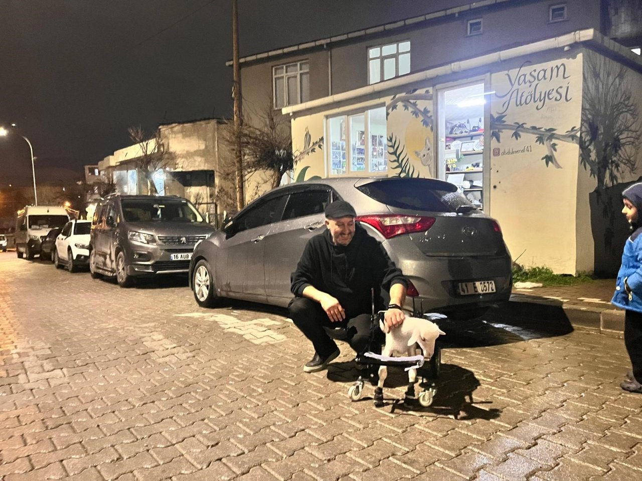 Demir Ustası Felçli Hayvanlara Umut Oldu